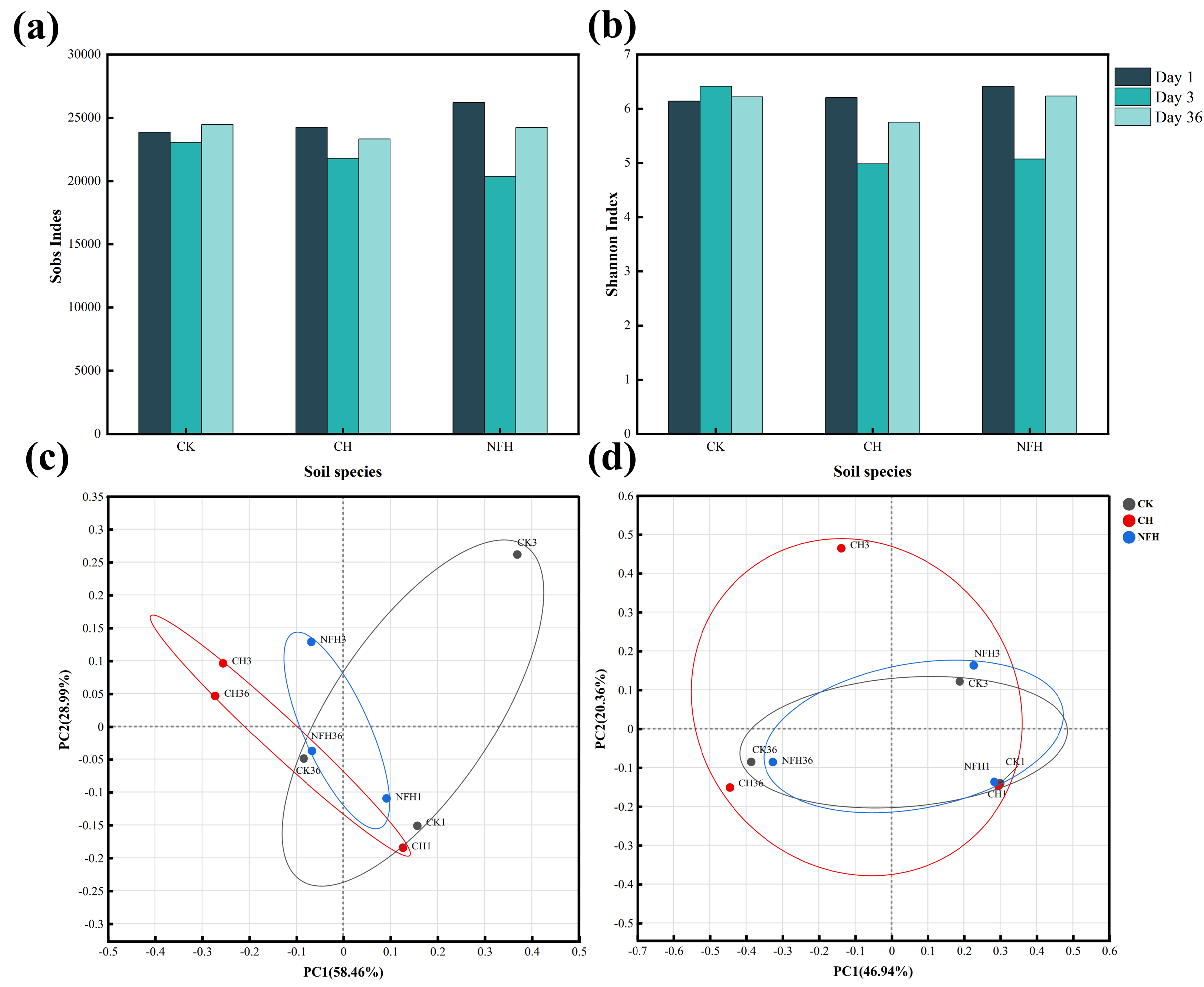 Humification and Bacterial Community Changes During Sludge