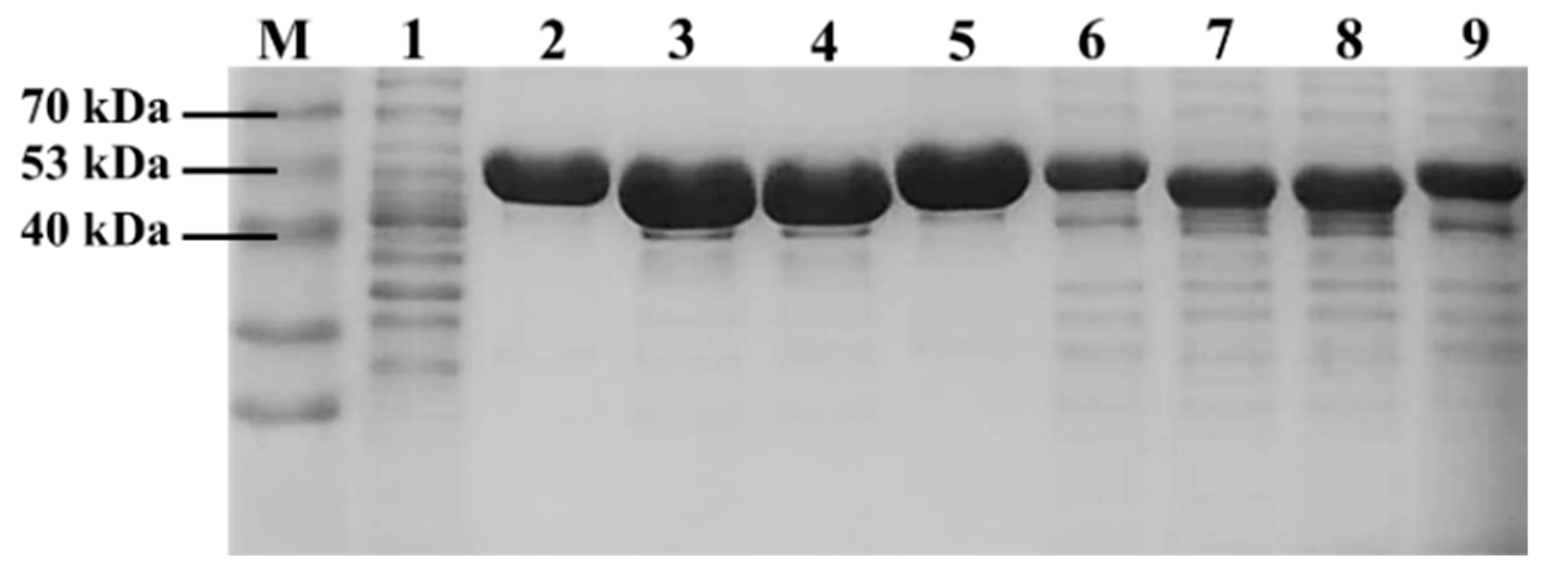 Fermentation 12 00281 g002 Fermentation 12 00281 g002