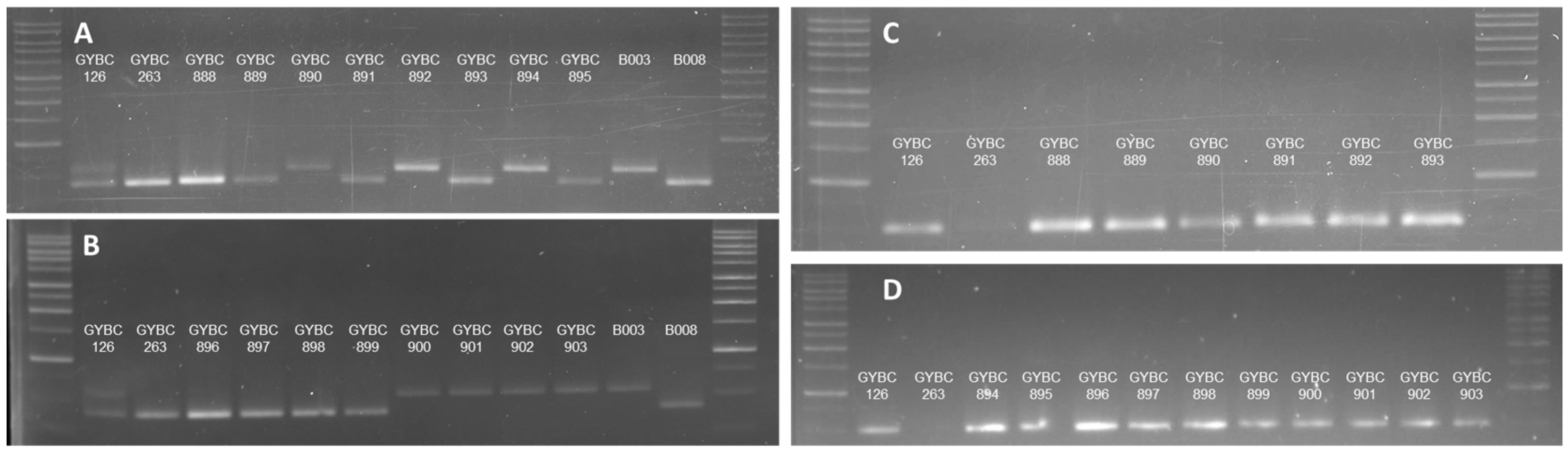 Fermentation 12 00291 g003 Fermentation 12 00291 g003