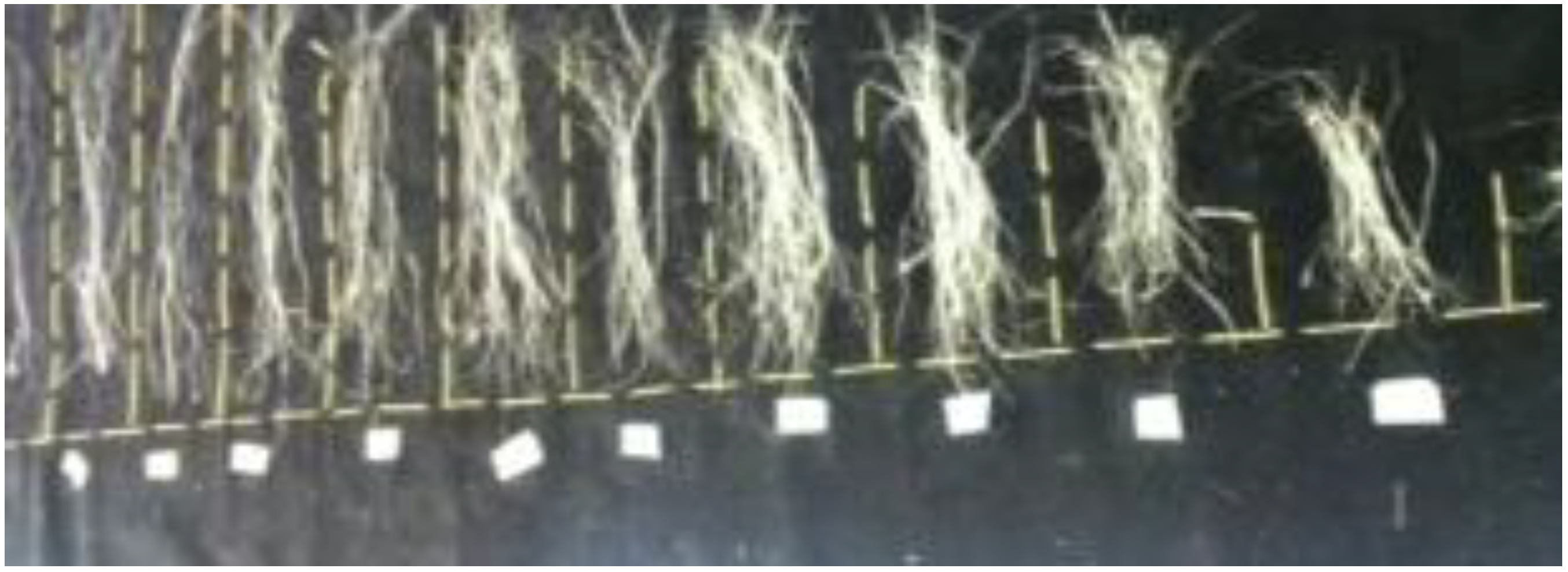 Fibers 01 00059 g002 1024