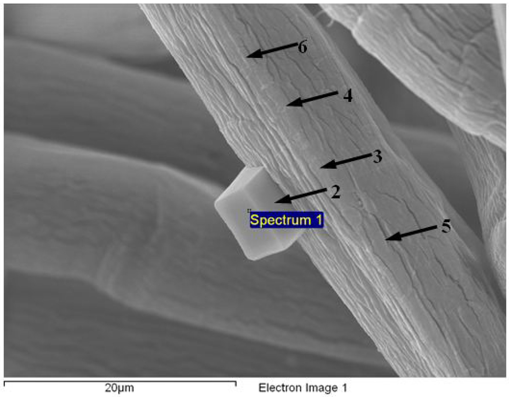 Fibers 02 00242 g003