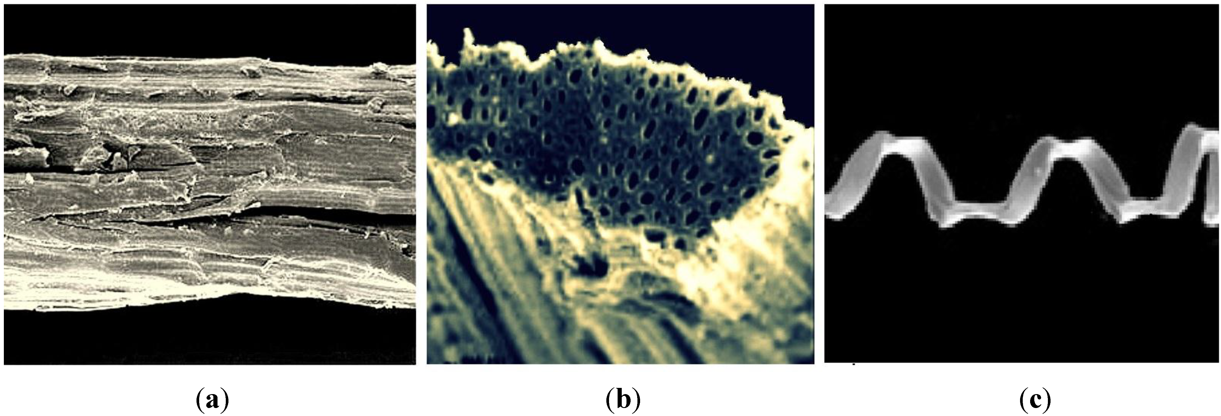 Fibers 03 00064 g003