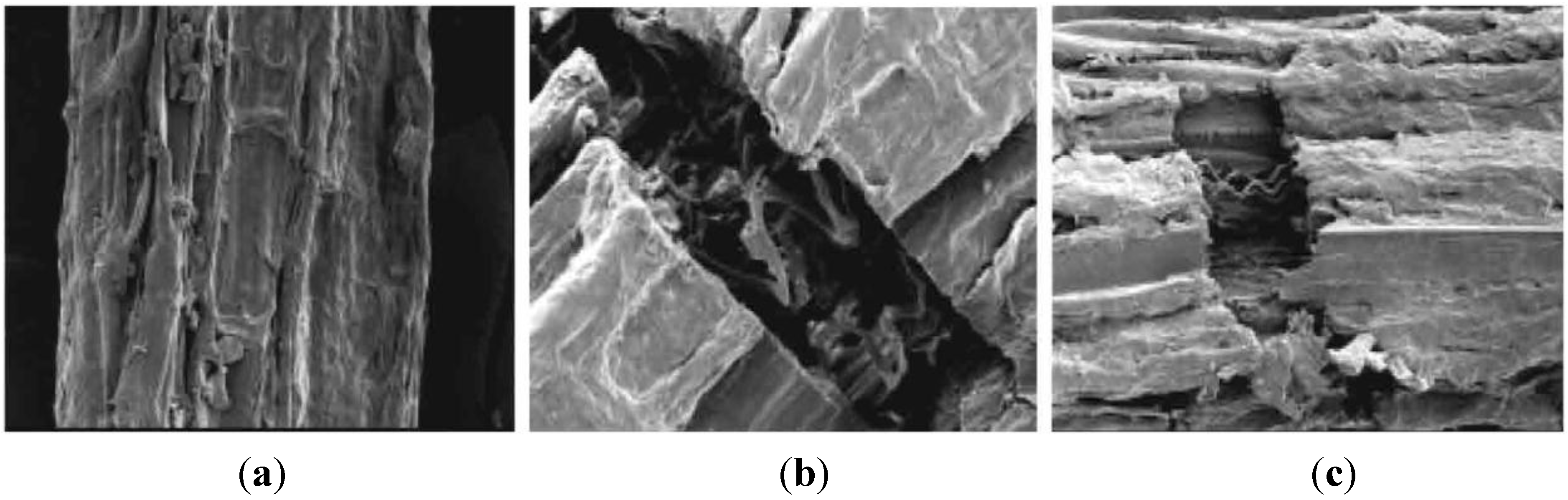 Fibers 03 00064 g004