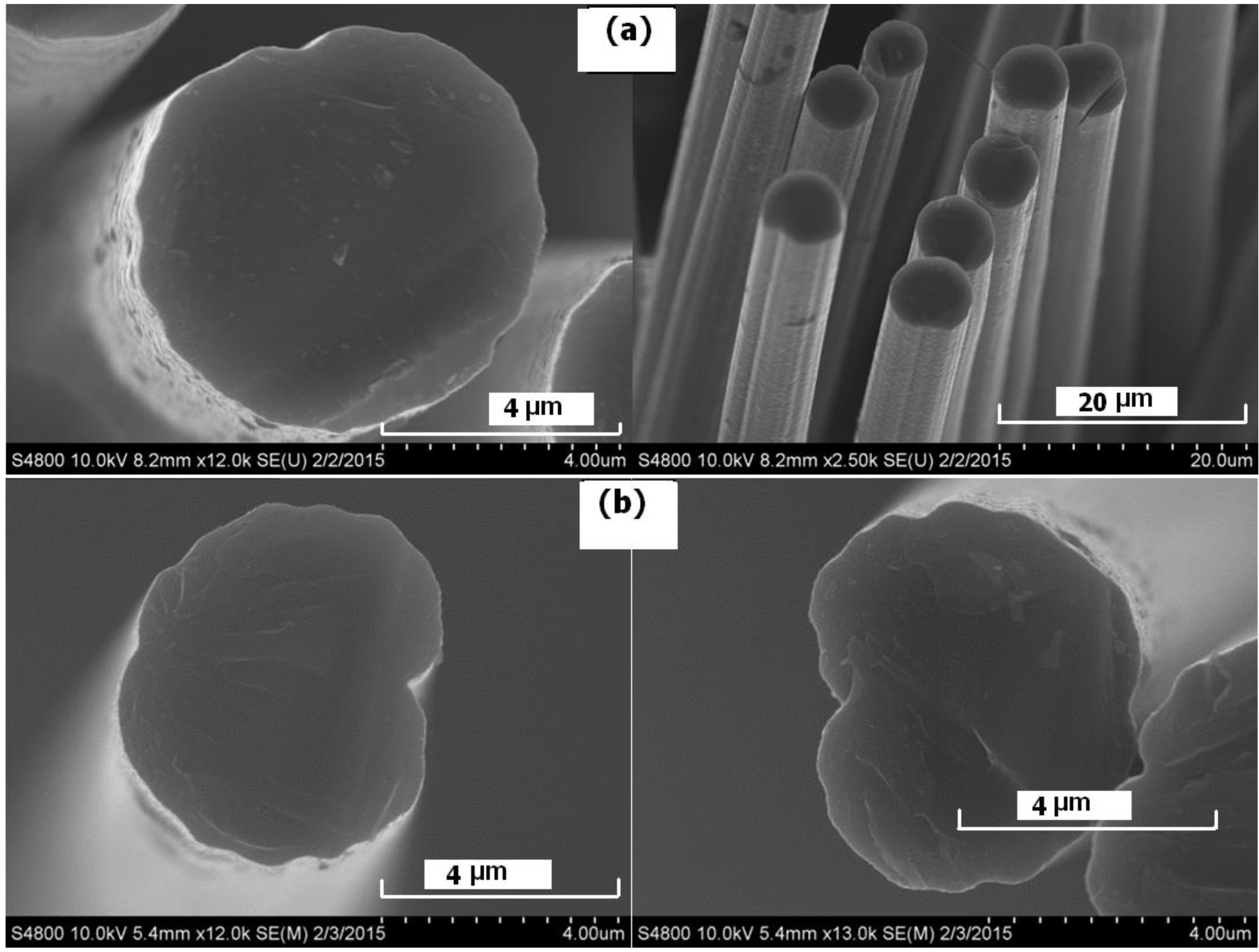Fibers 03 00184 g010