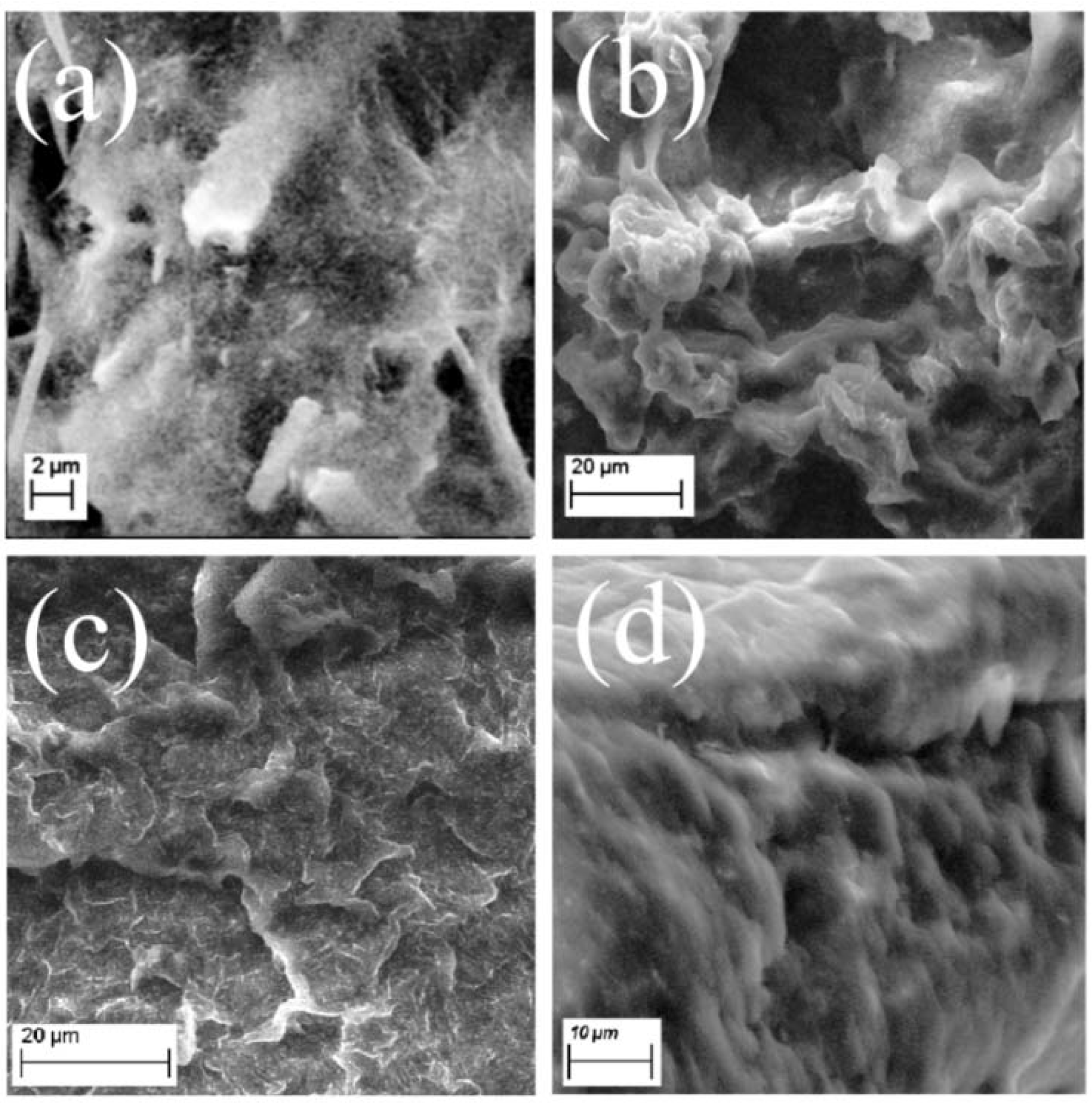 Fibers 03 00265 g002