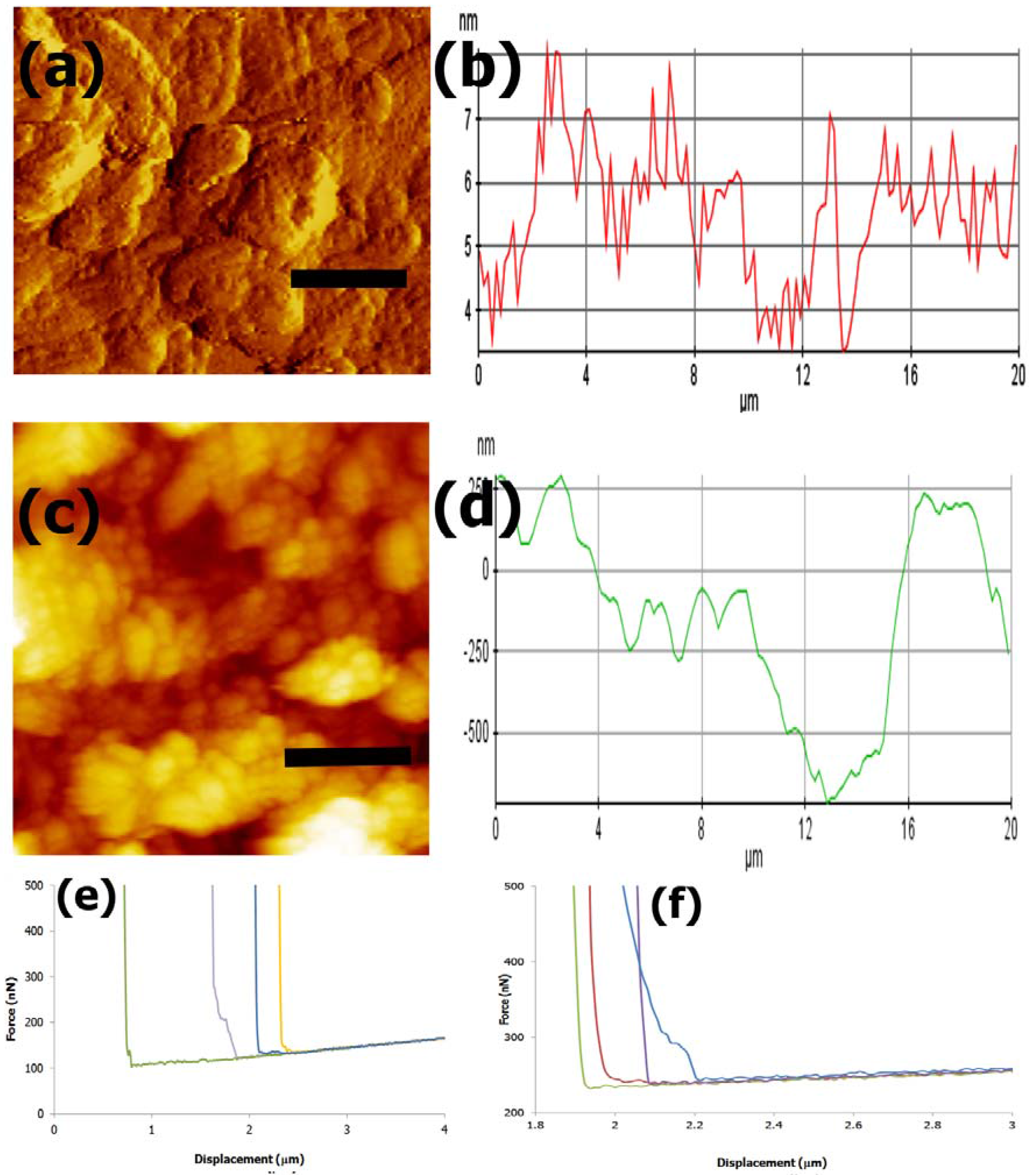 Fibers 03 00265 g006