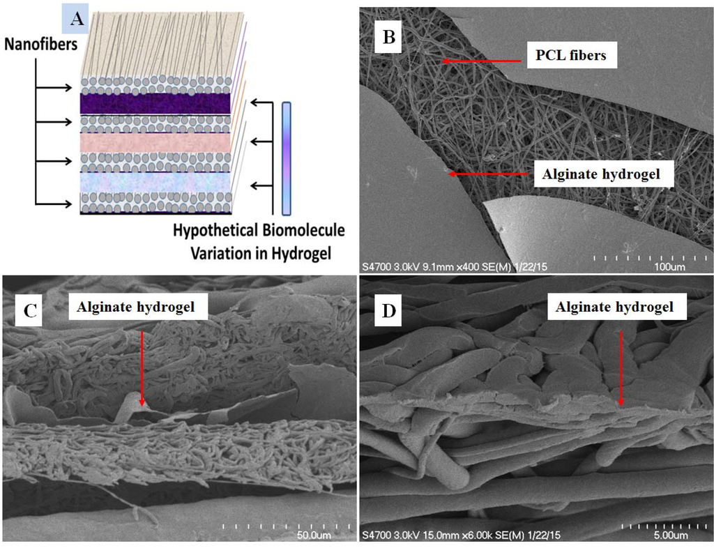Fibers 03 00296 g001 1024