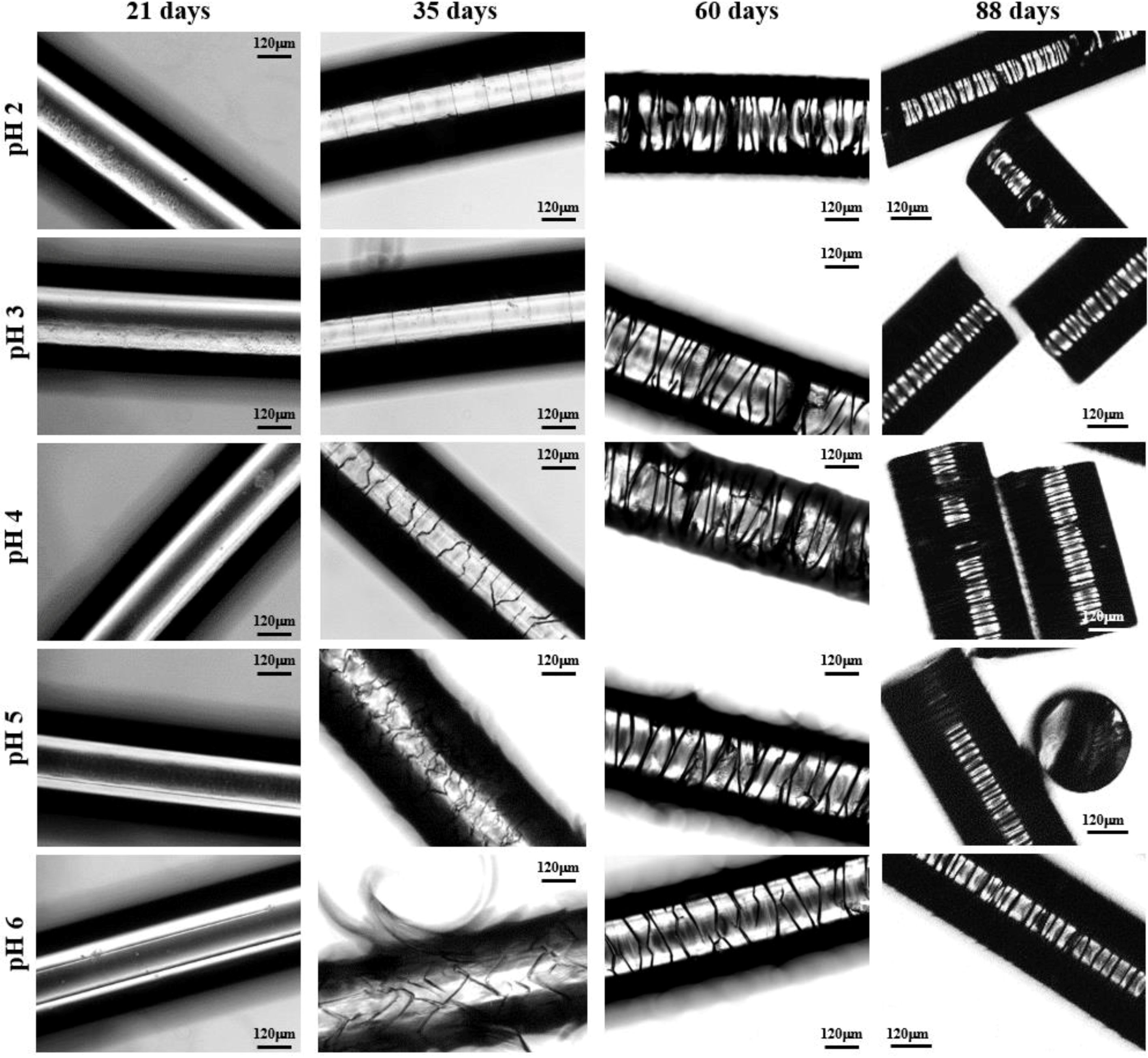 Fibers 03 00348 g010 1024