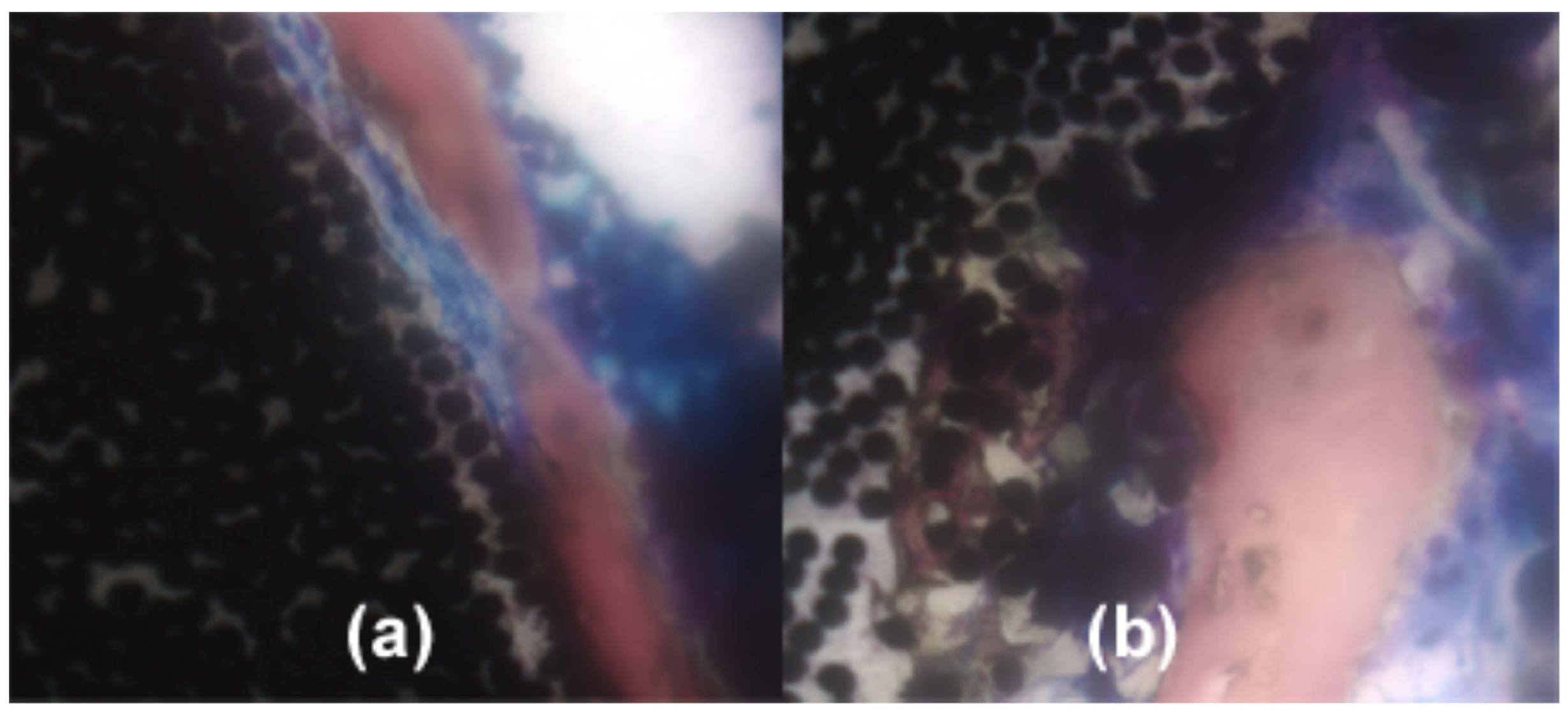 Fibers 04 00001 g005