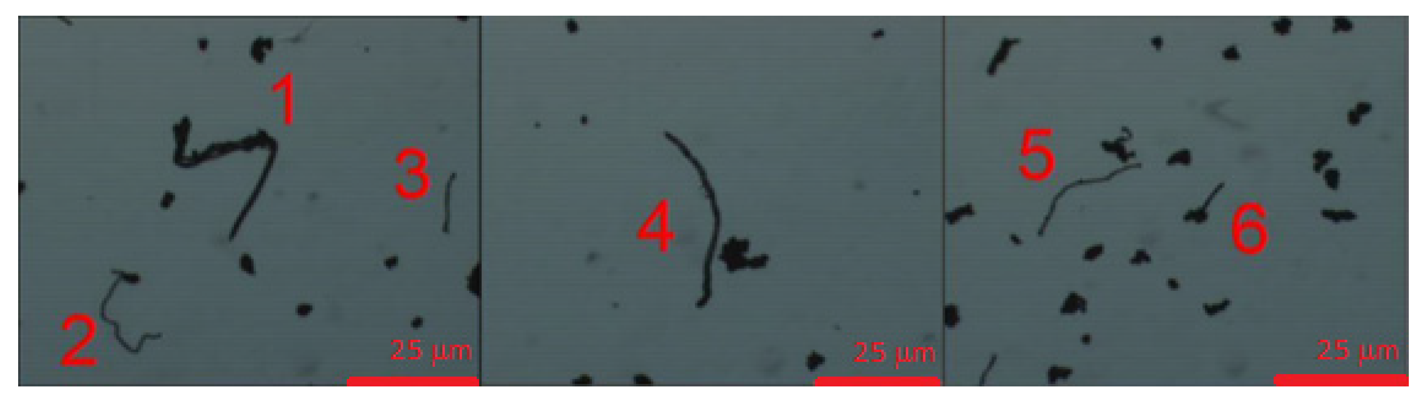 Fibers 04 00007 g004 1024