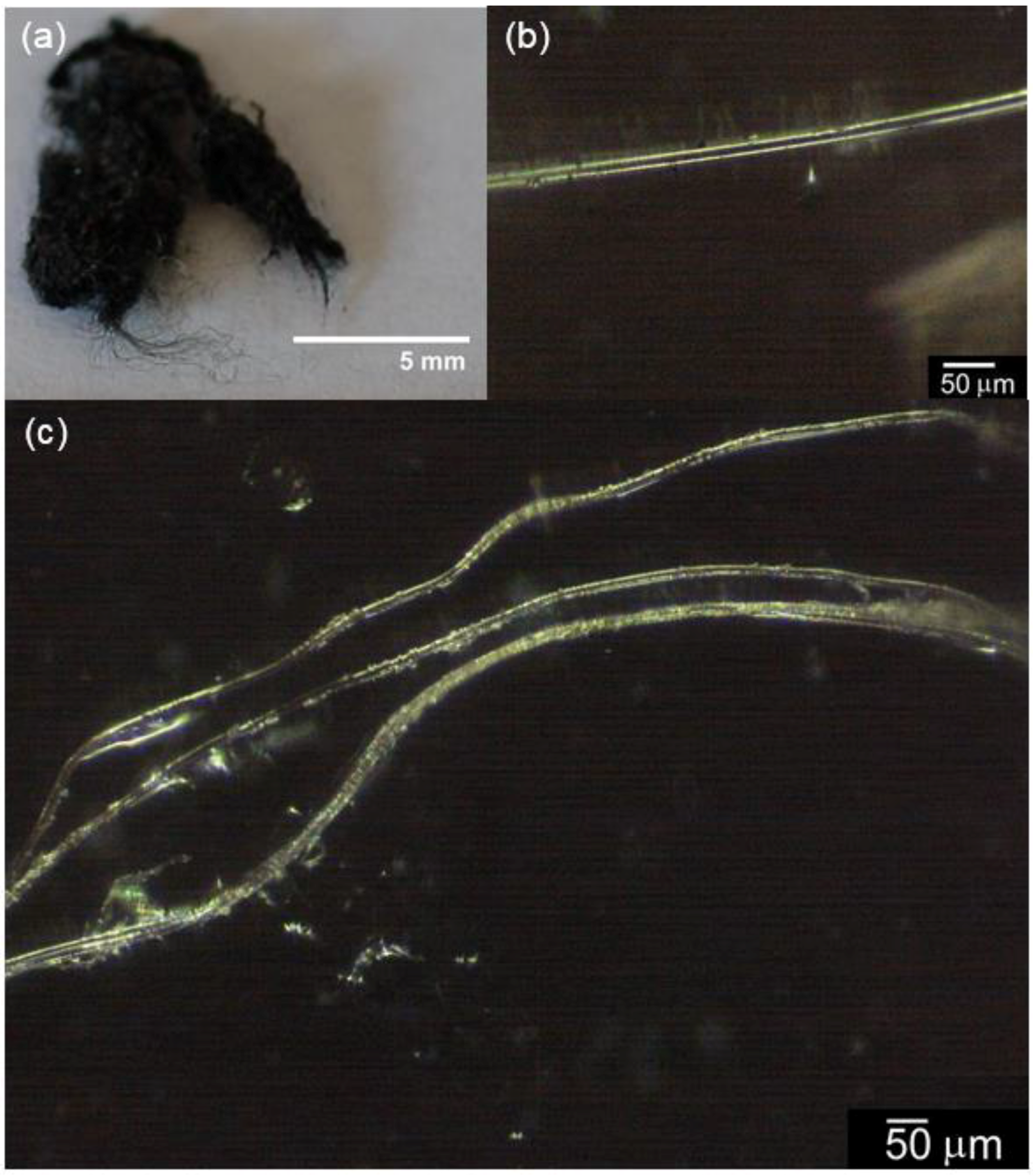 Fibers 04 00012 g004 1024