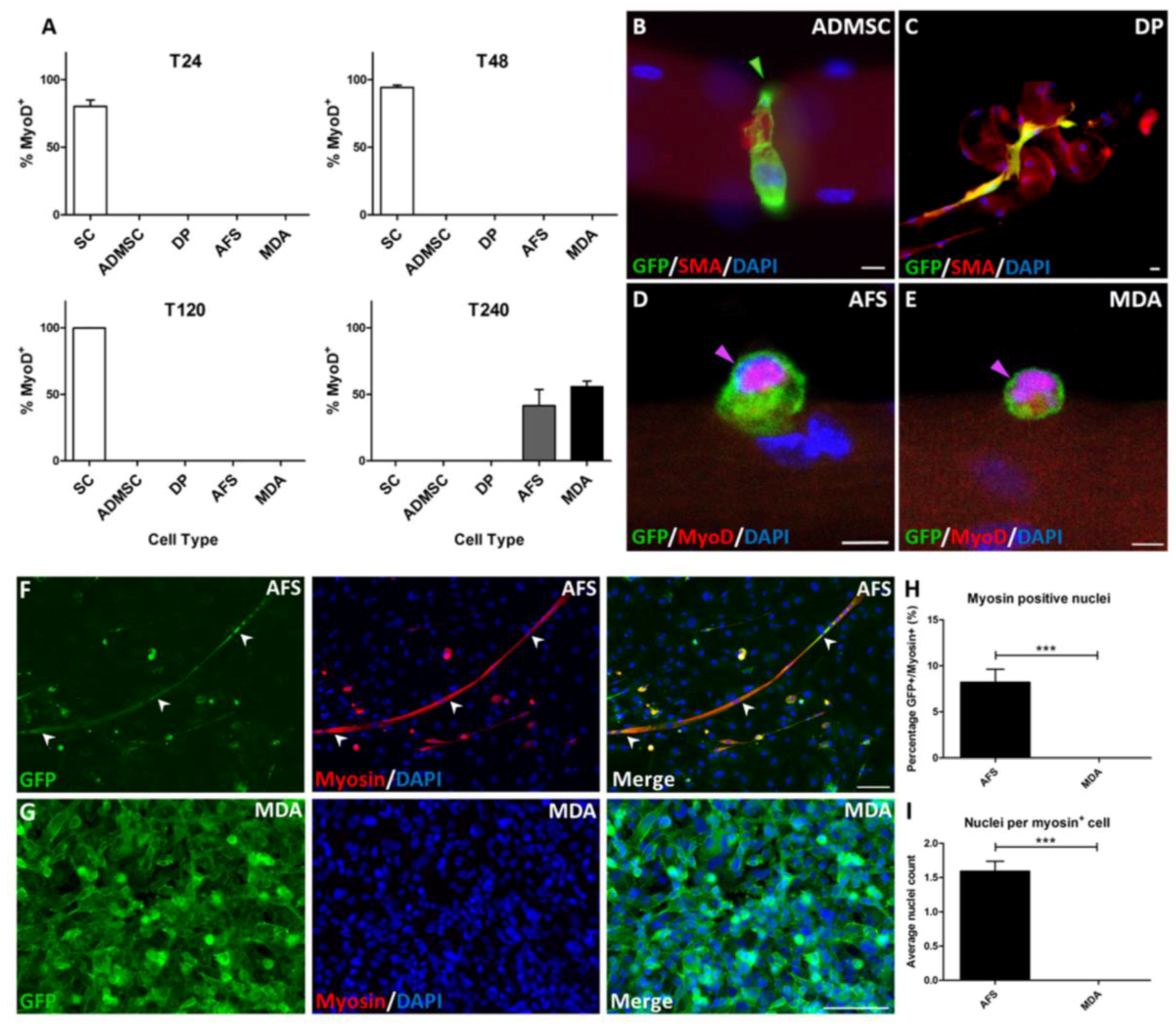 Fibers 05 00005 g005