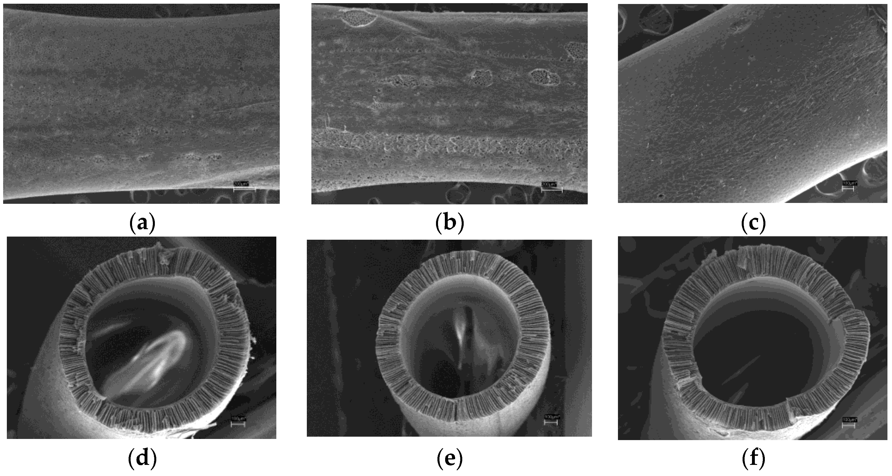 Fibers 05 00006 g005 550