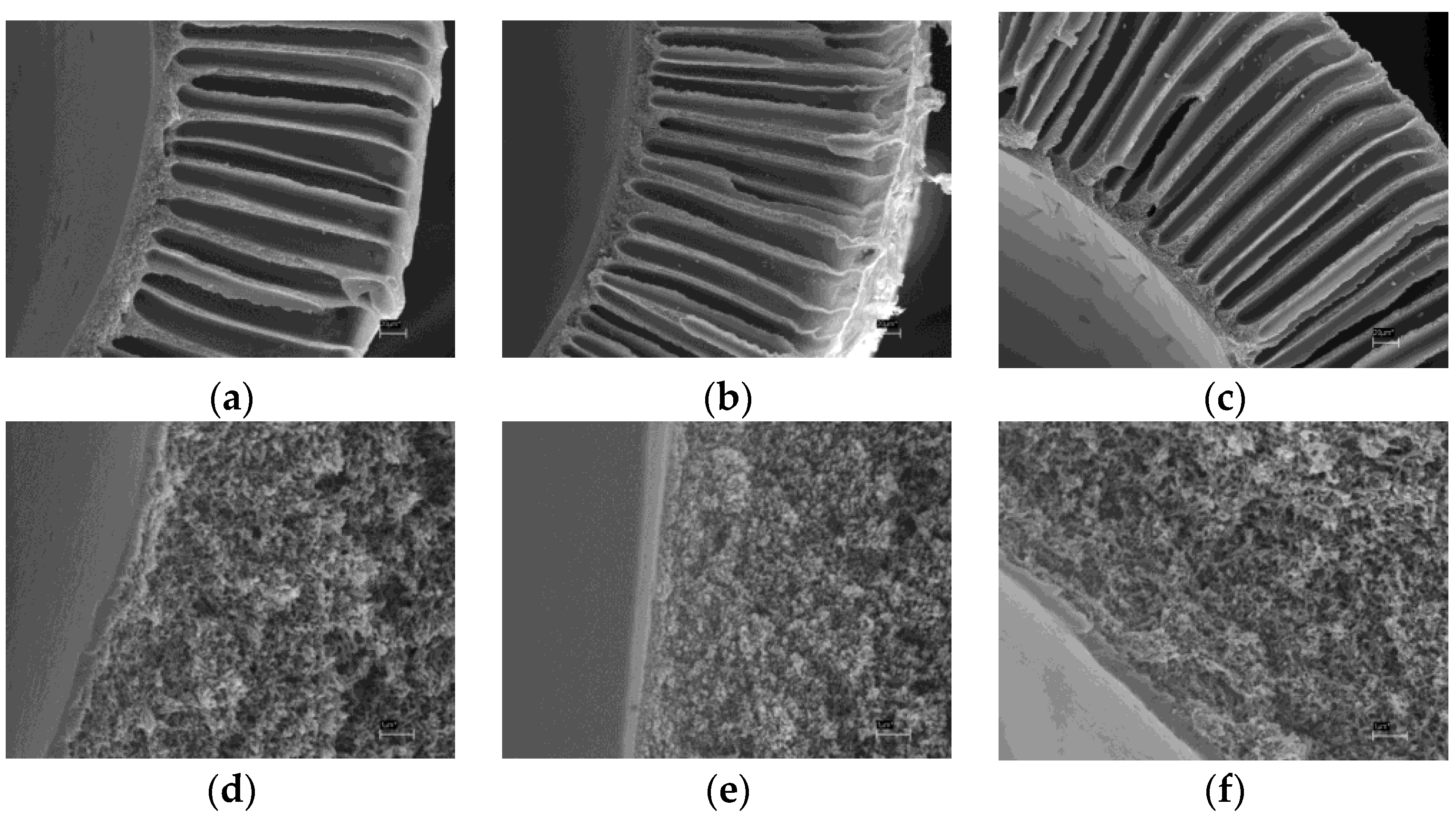 Fibers 05 00006 g006 550