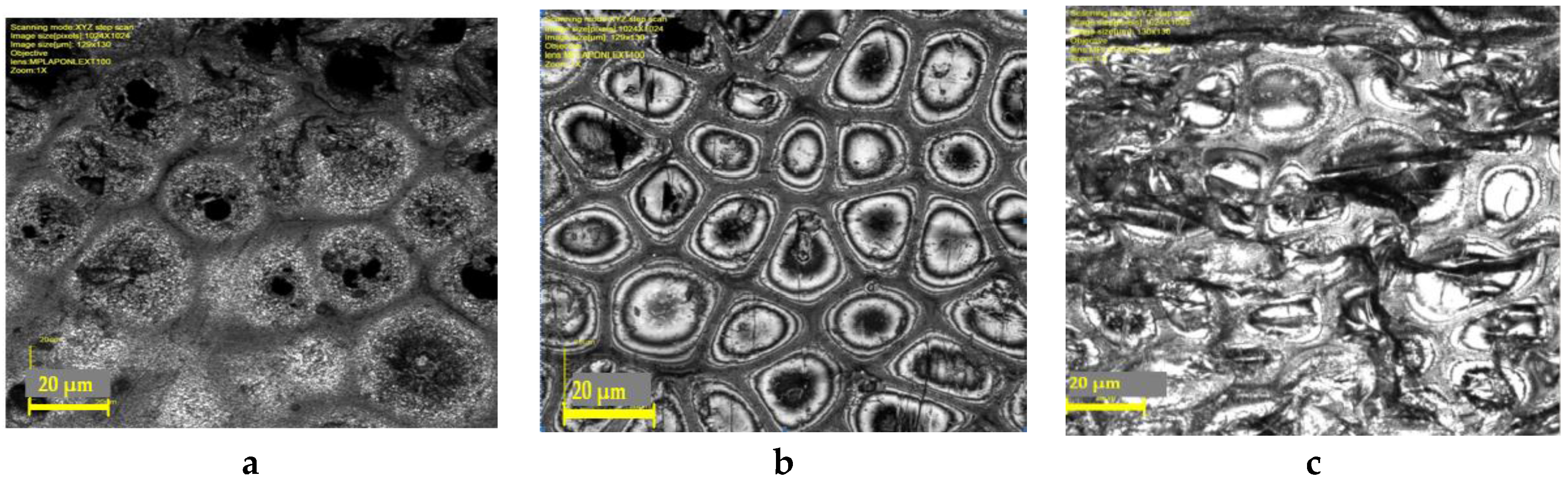 Fibers 05 00006 g010 550