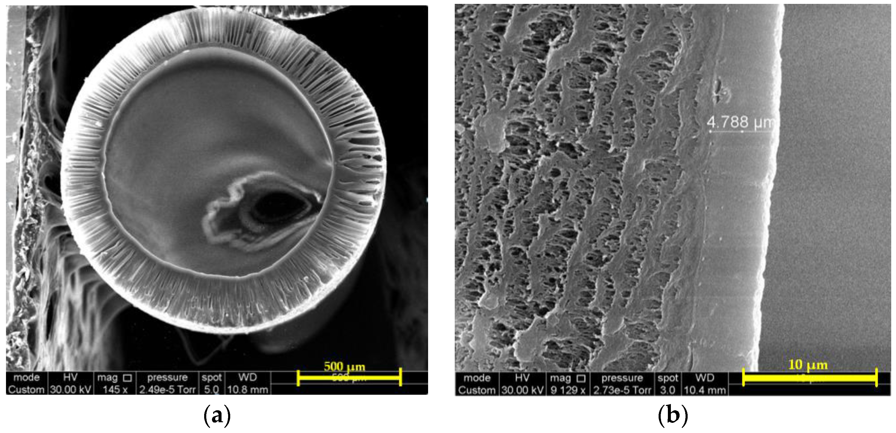 Fibers 05 00006 g011 550