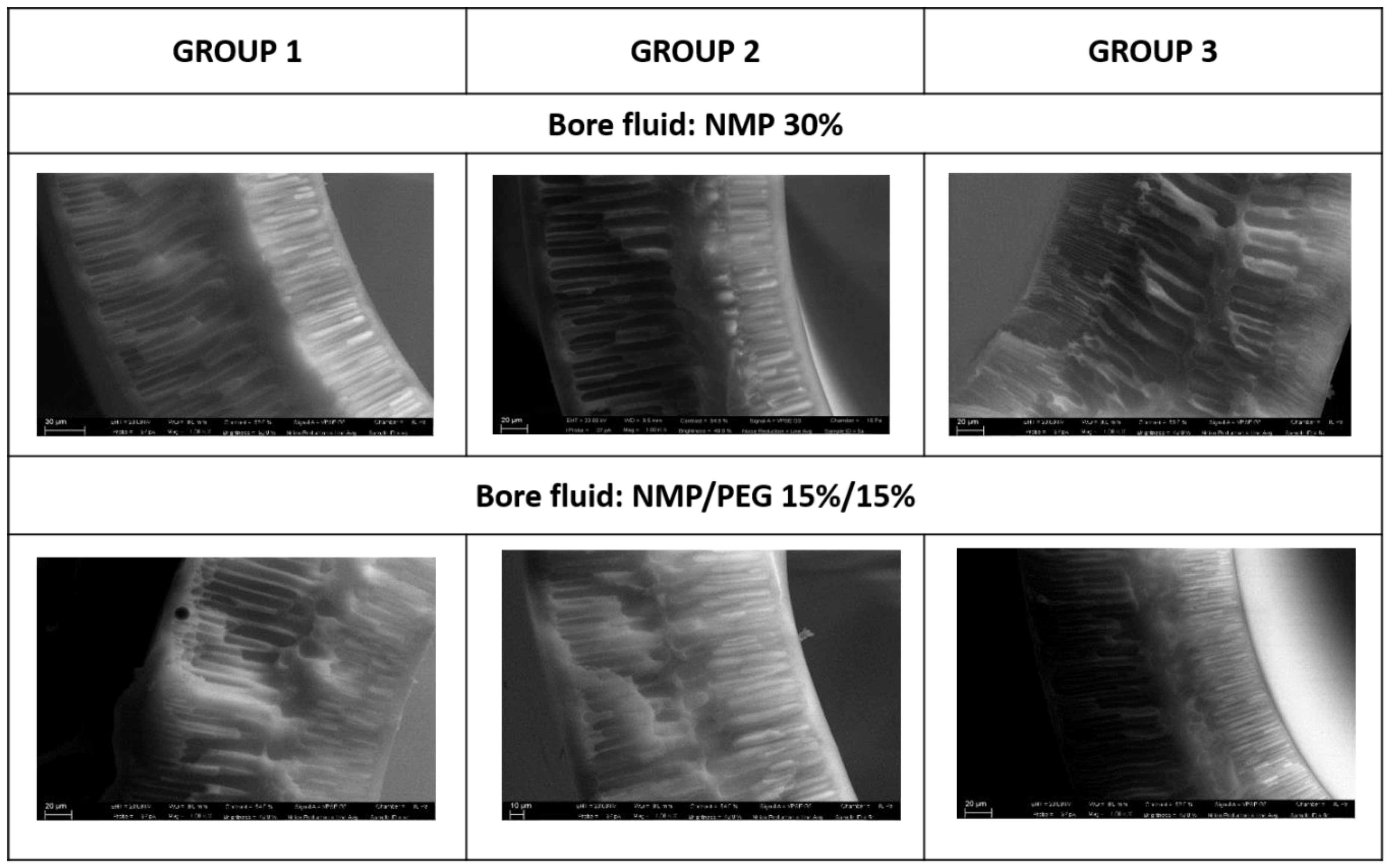 Fibers 05 00014 g003