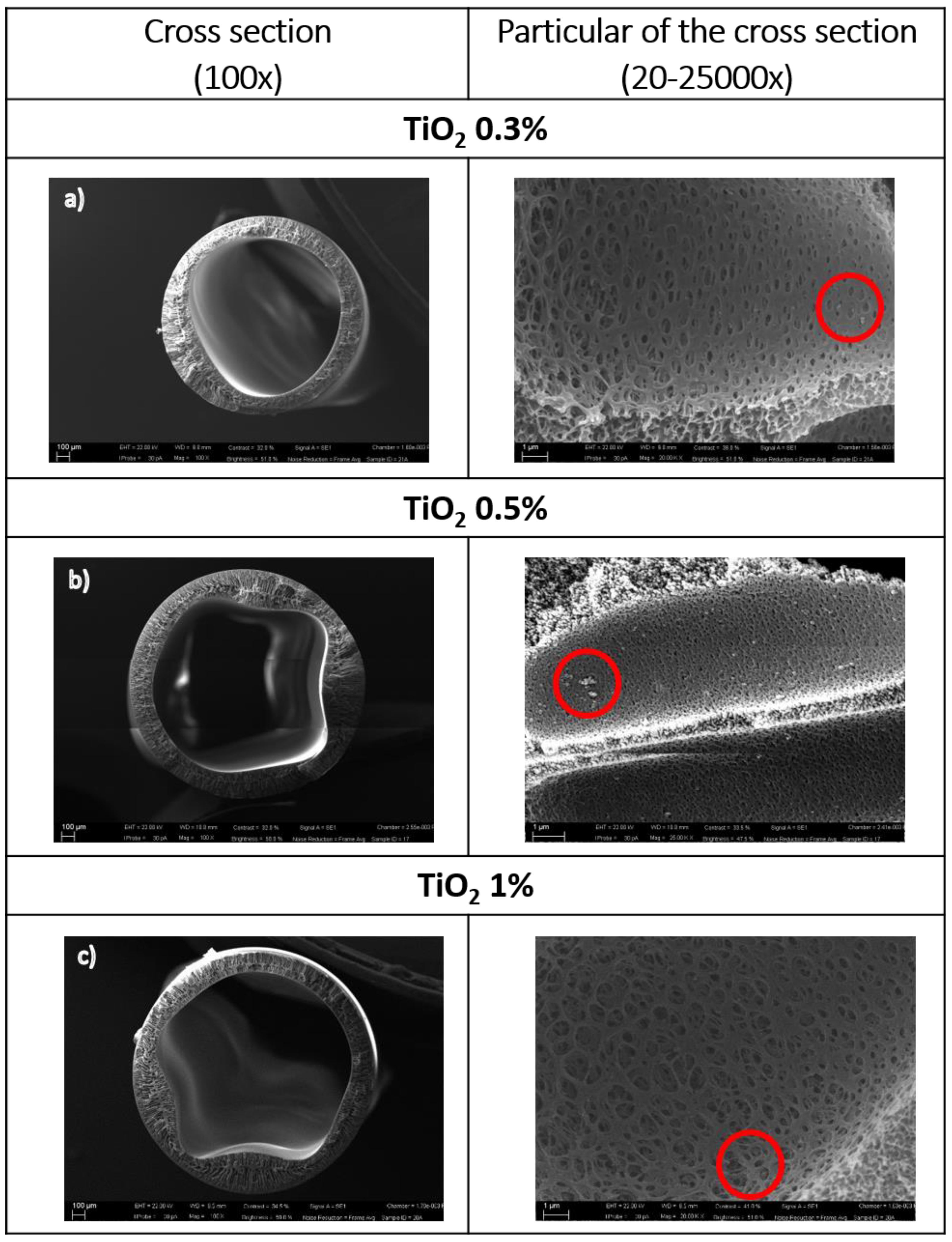 Fibers 05 00014 g005