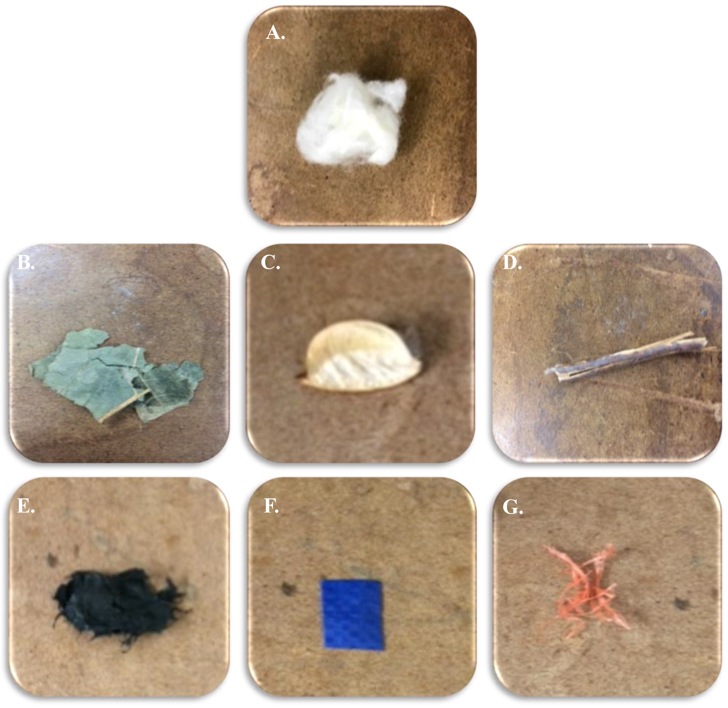 Fibers 05 00020 g001 550