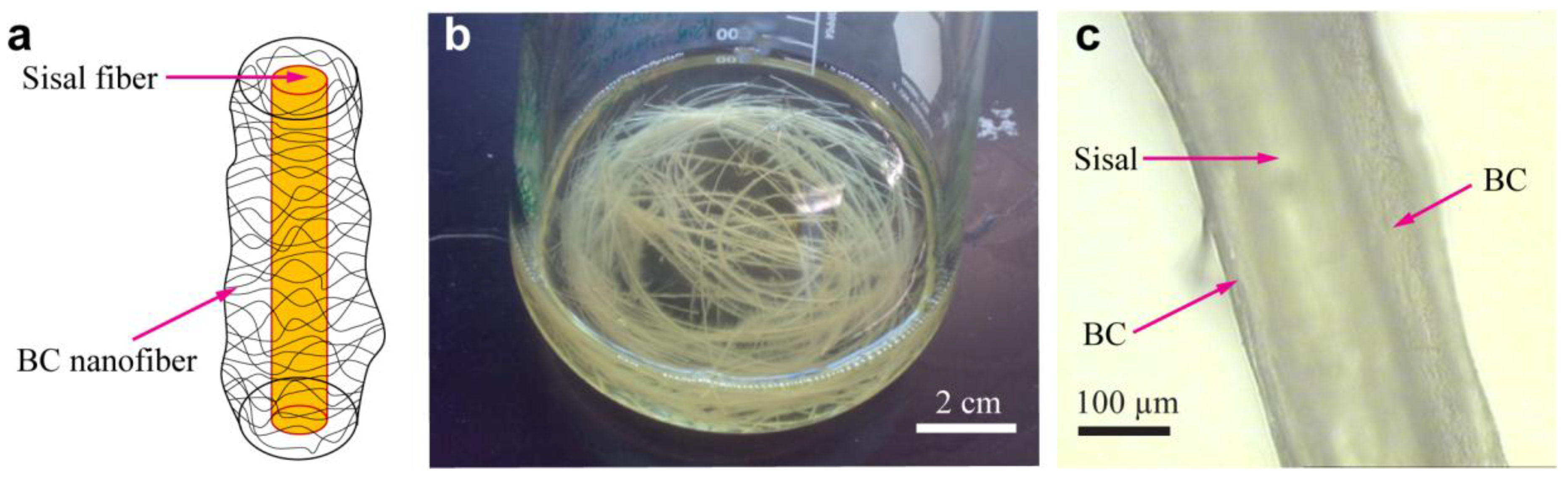 Fibers 05 00031 g003