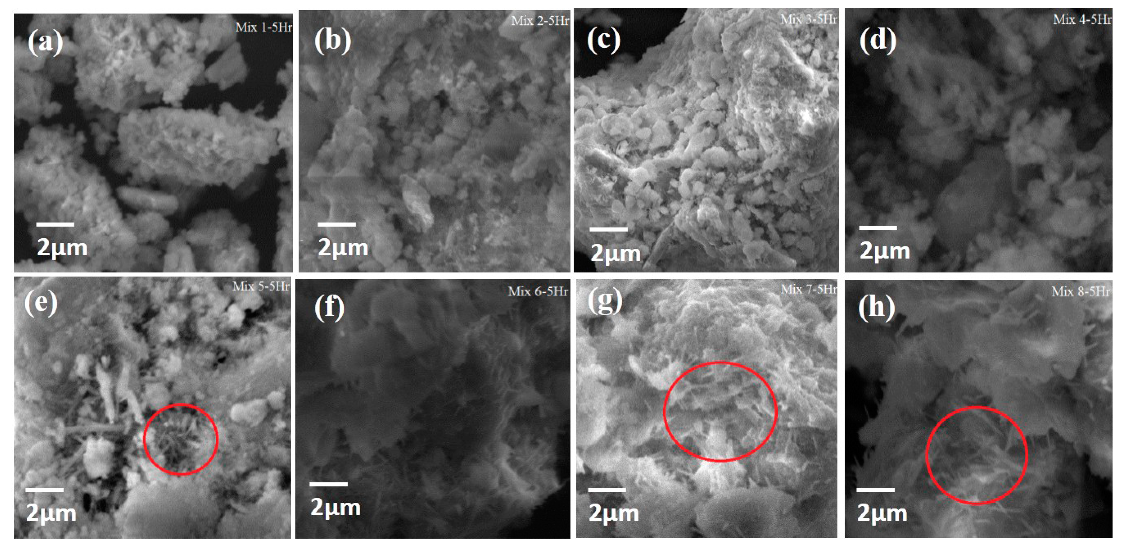 Fibers 05 00039 g005