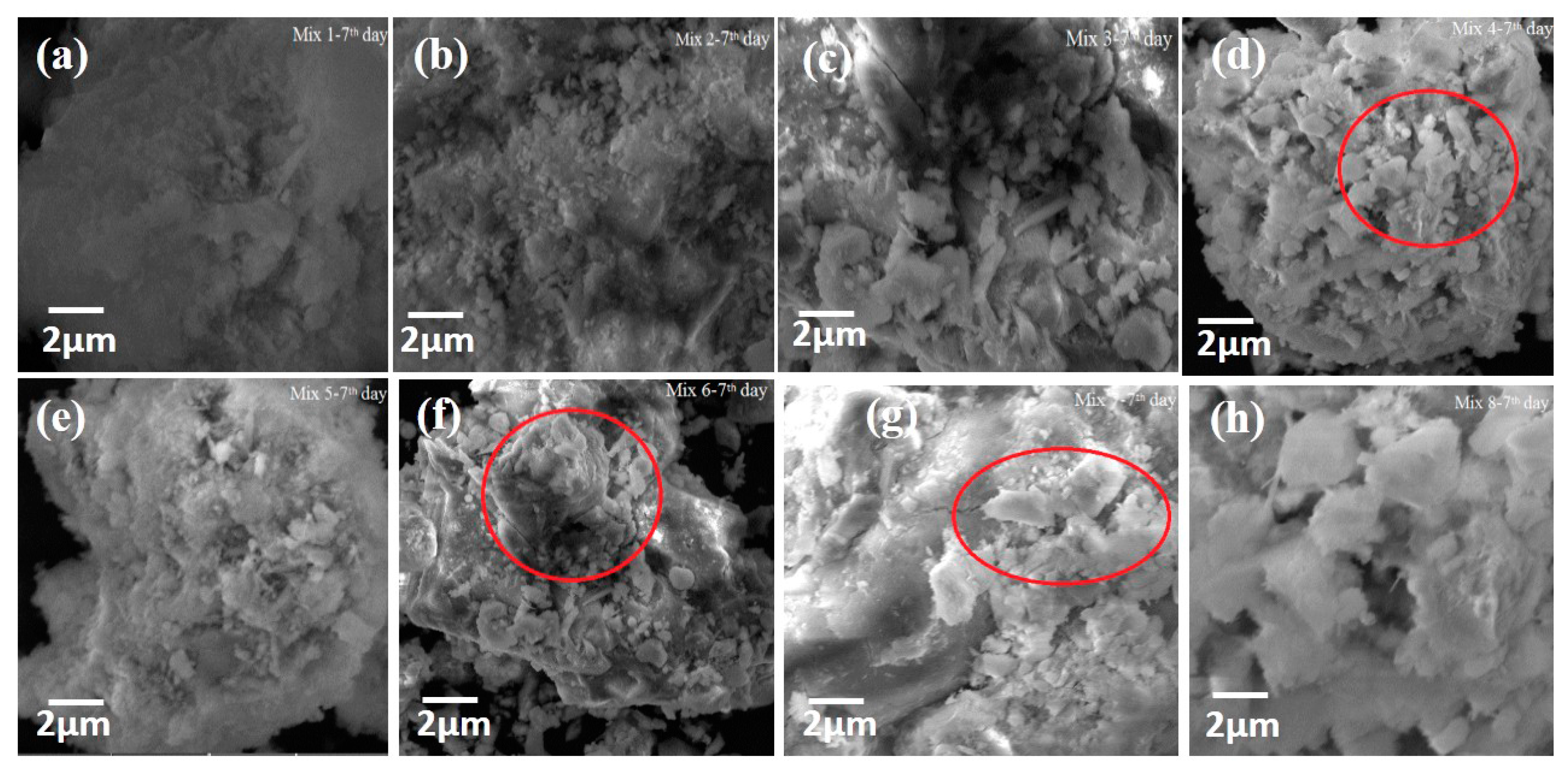 Fibers 05 00039 g007