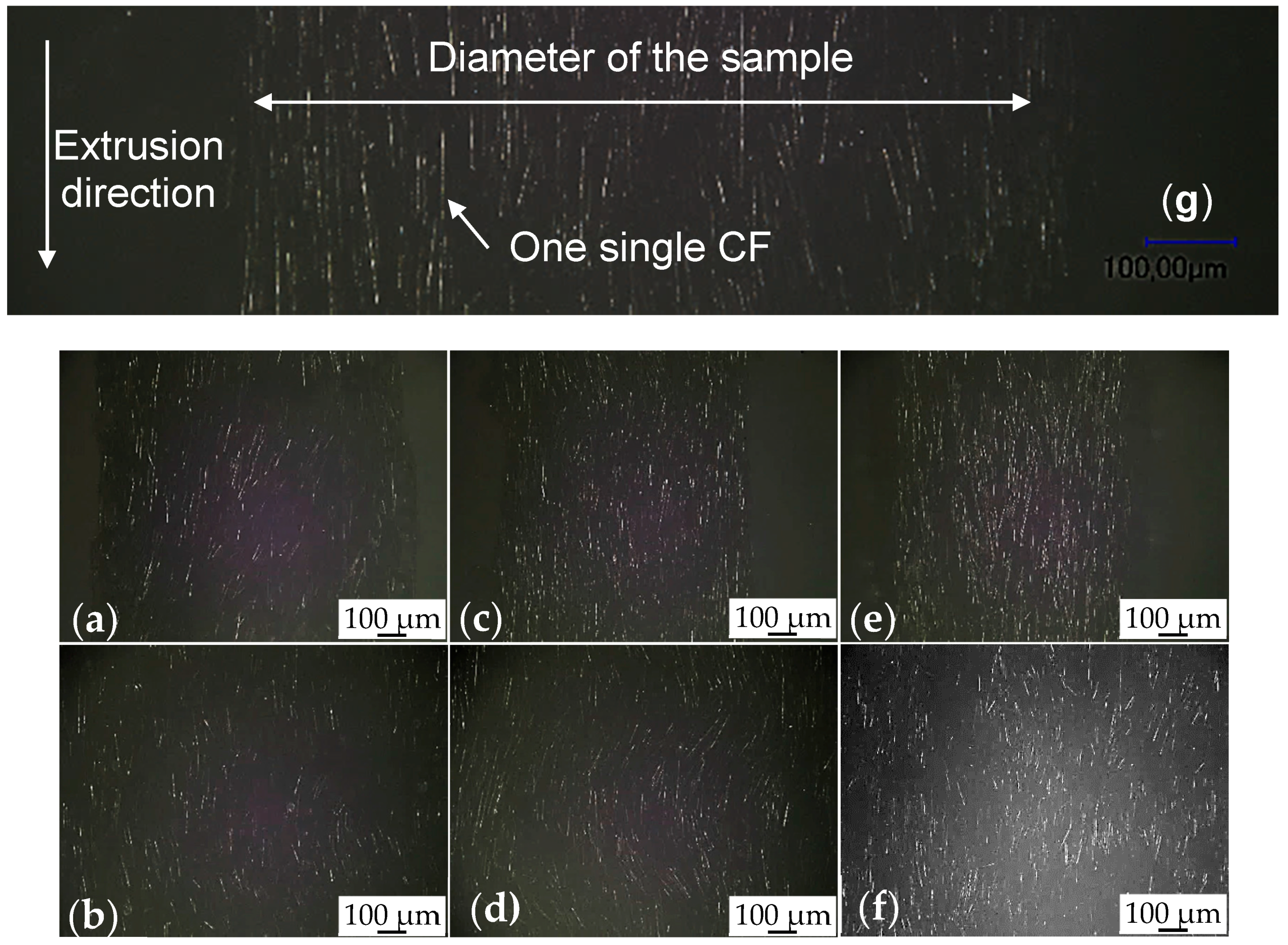 Fibers 06 00003 g007 550