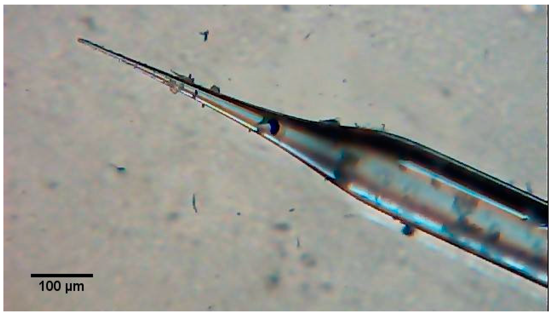 Fibers 06 00004 g003 550