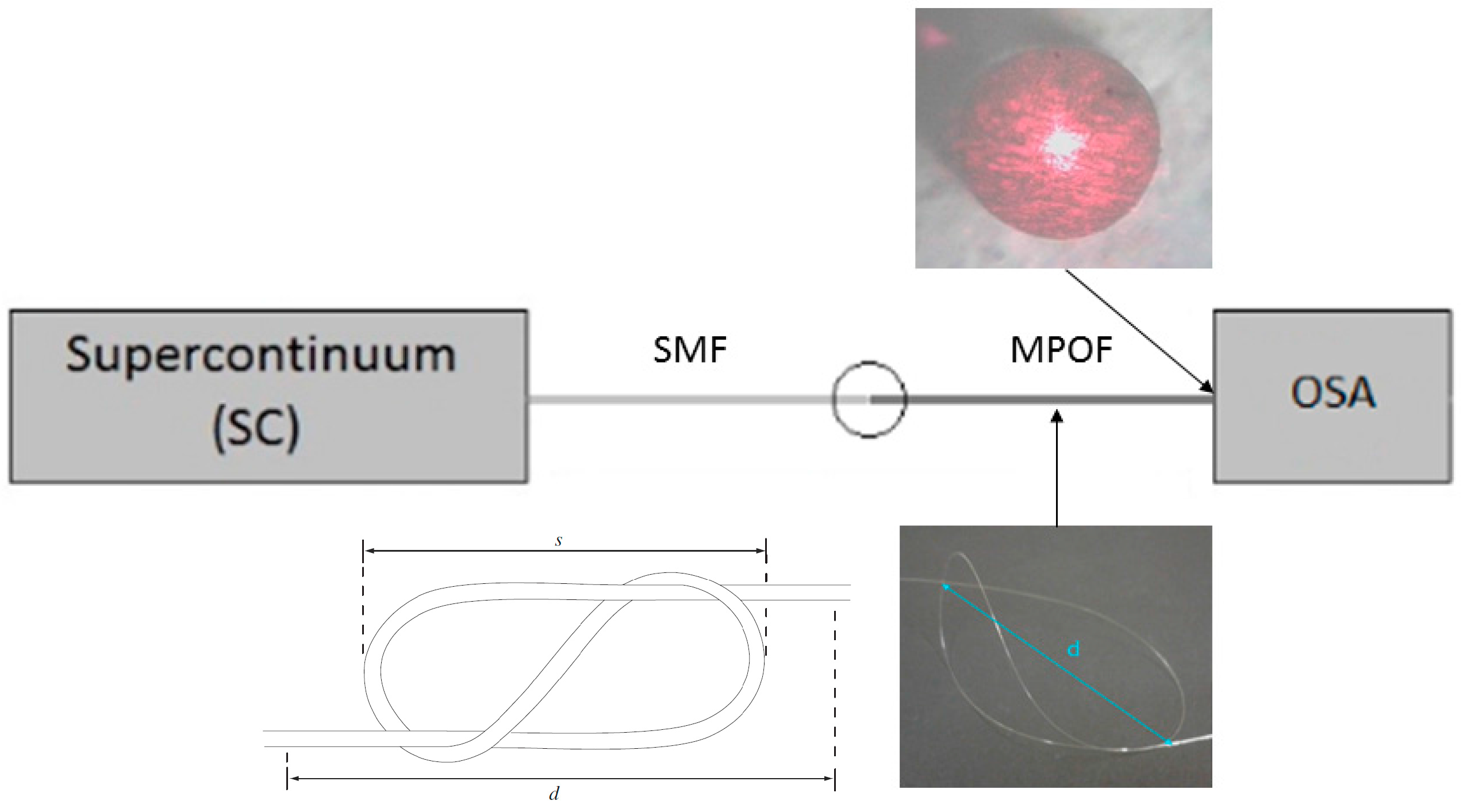 Fibers 06 00004 g006 550