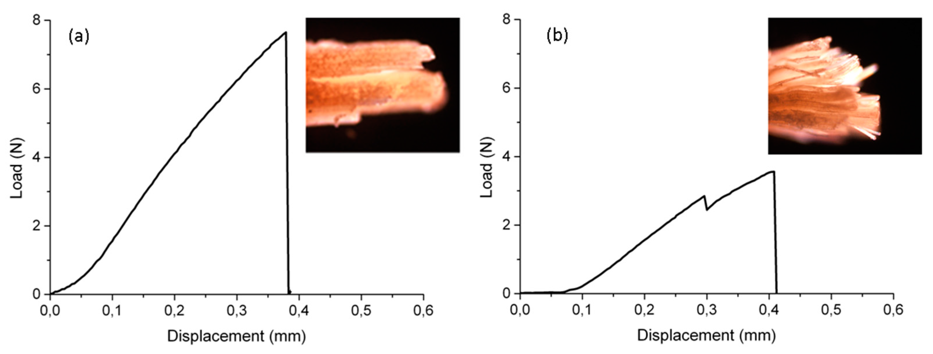 Fibers 06 00007 g003