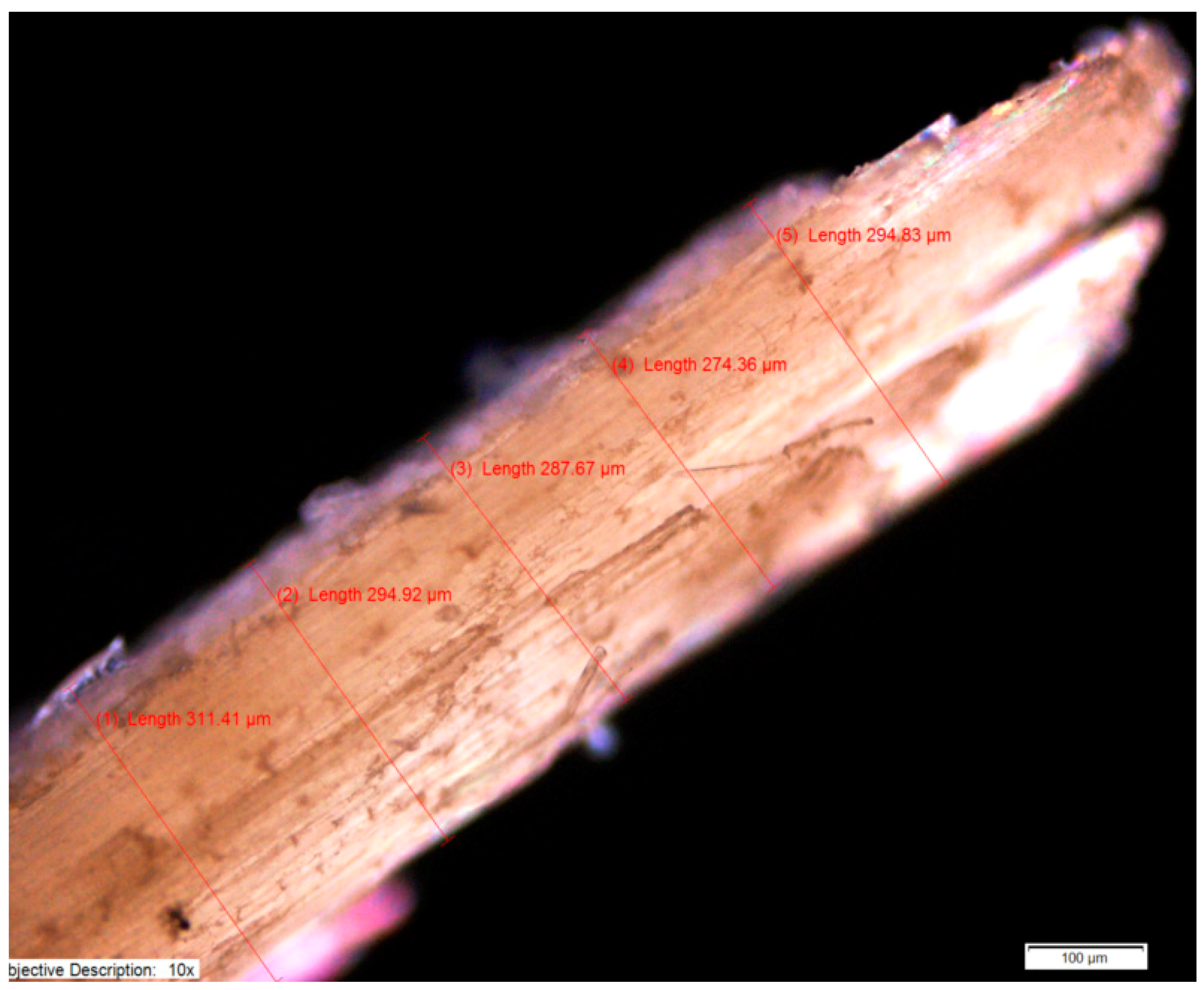 Fibers 06 00007 g005