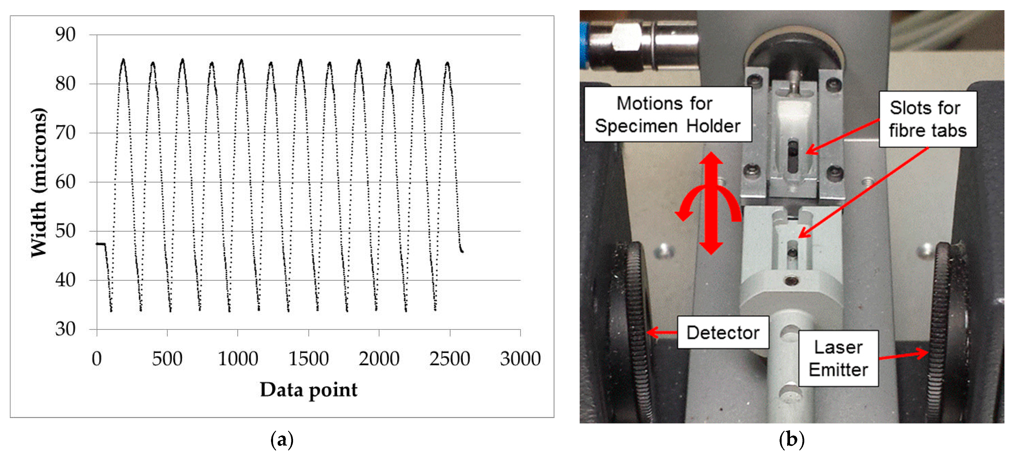 Fibers 06 00010 g002 550