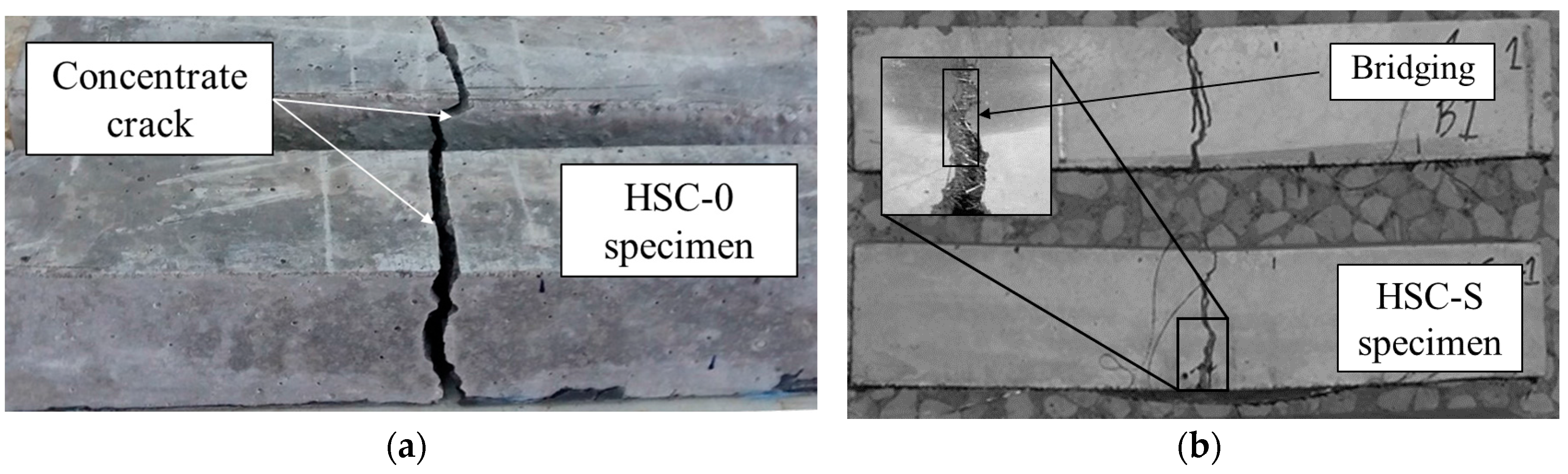 Fibers 06 00012 g011 Fibers 06 00012 g011