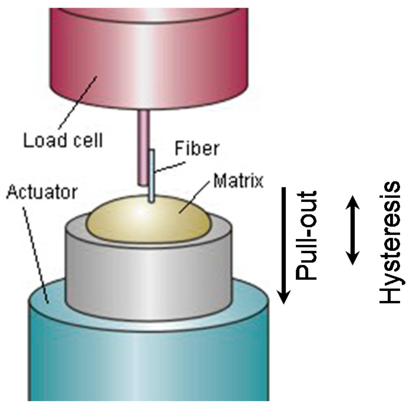Fibers 06 00016 g002