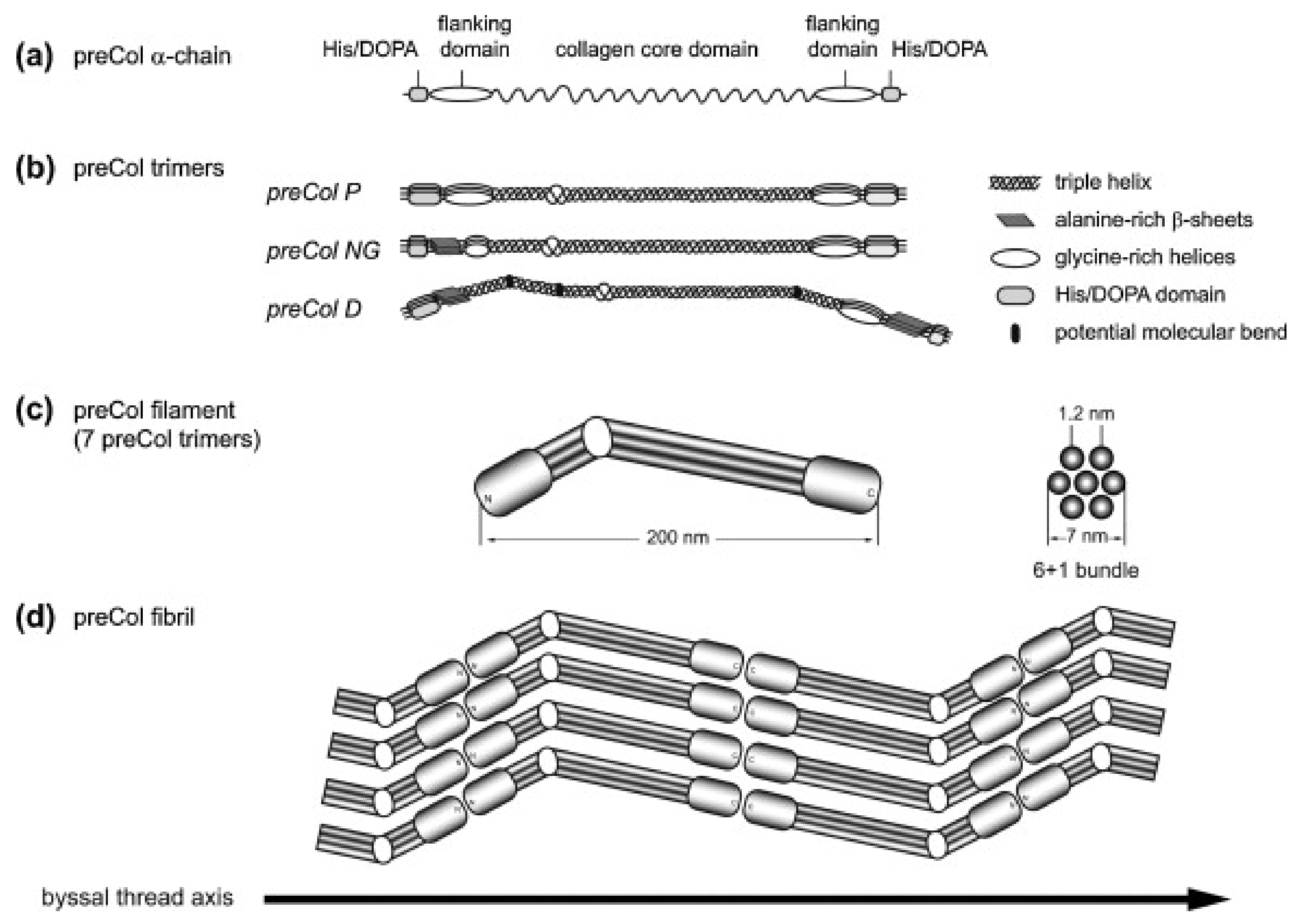 Fibers 06 00021 g003