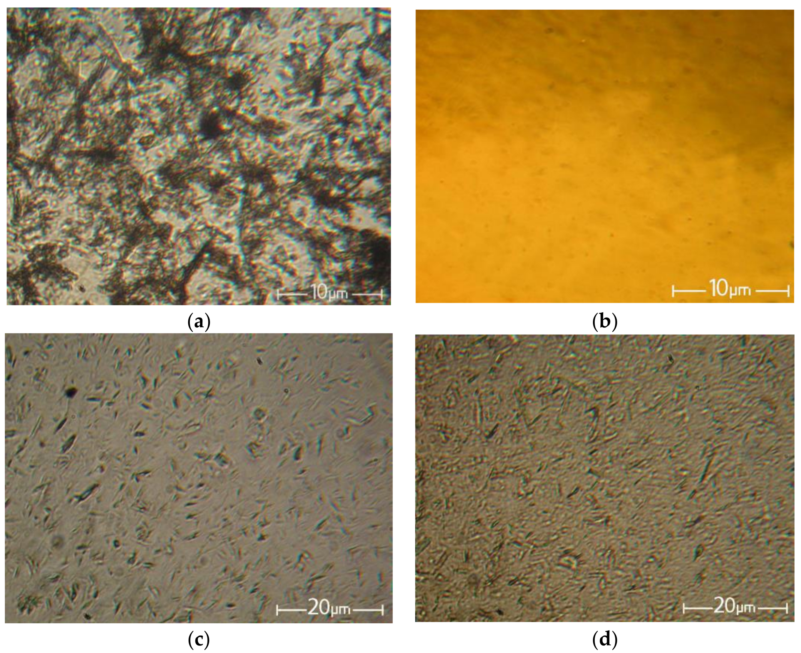 Fibers 06 00023 g003