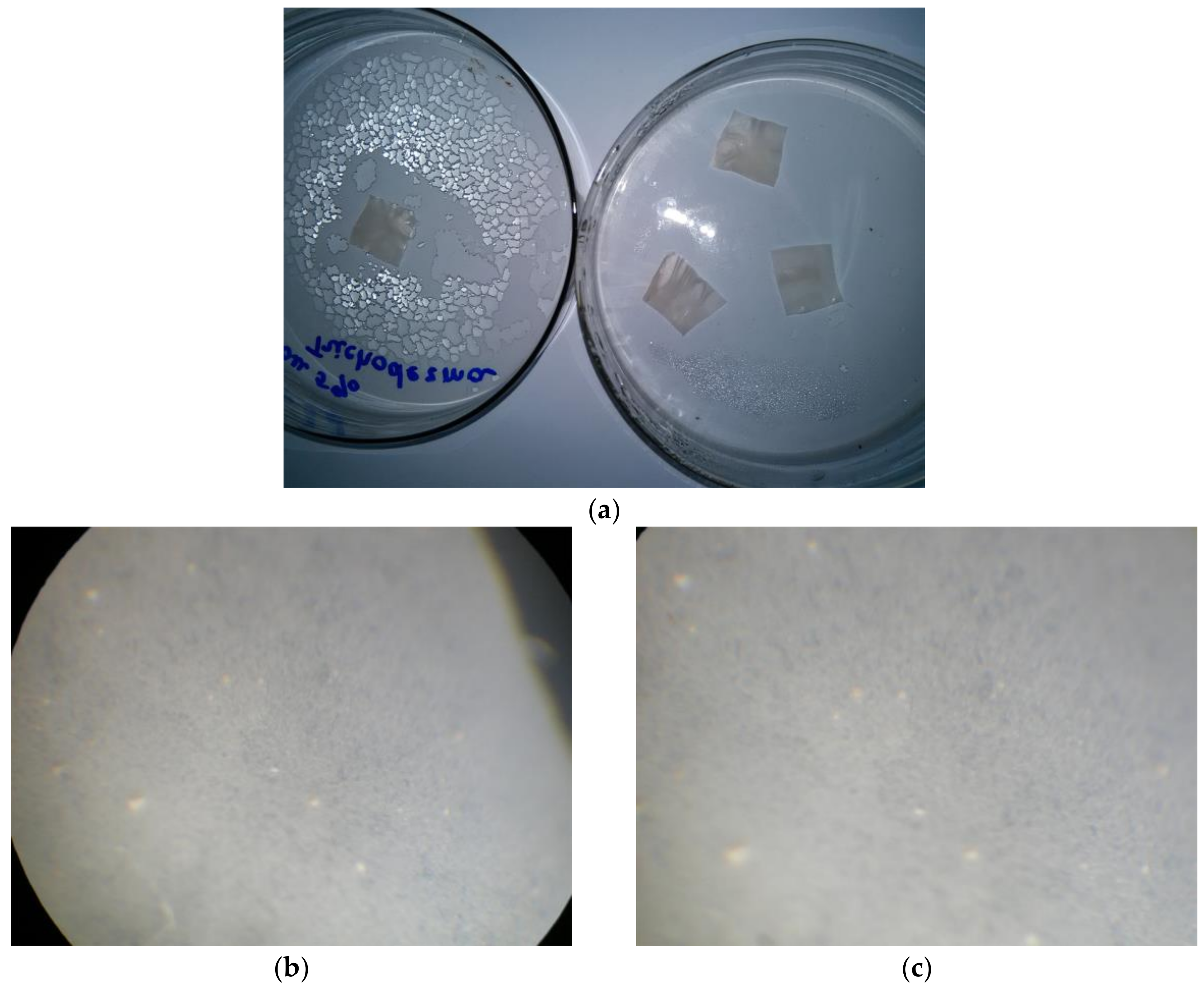 Fibers 06 00023 g007a
