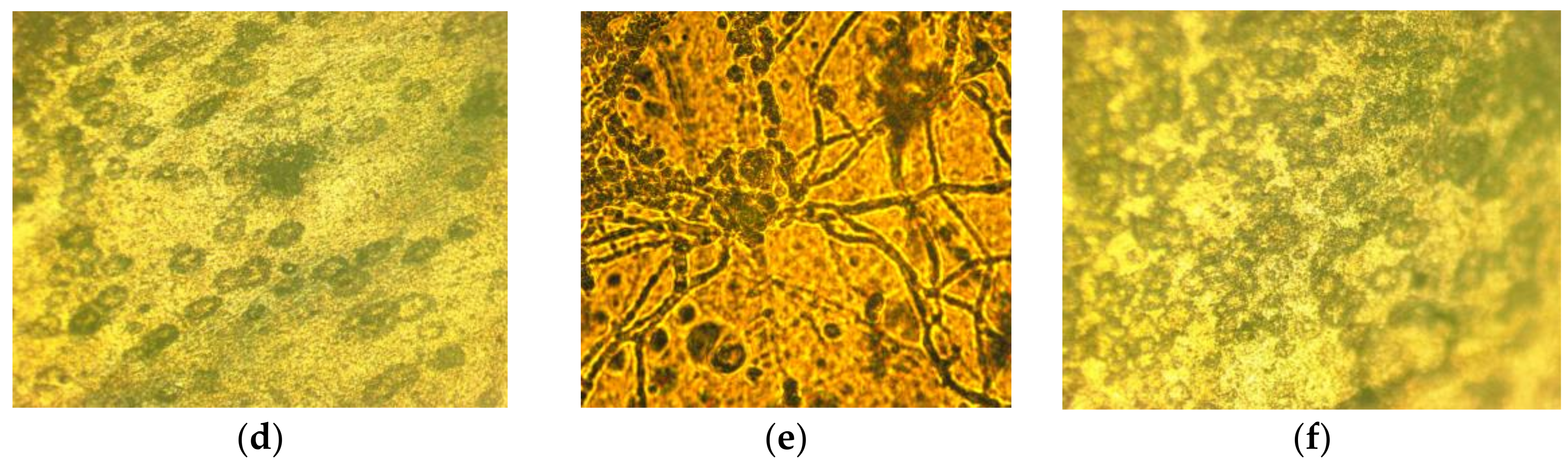 Fibers 06 00023 g007b