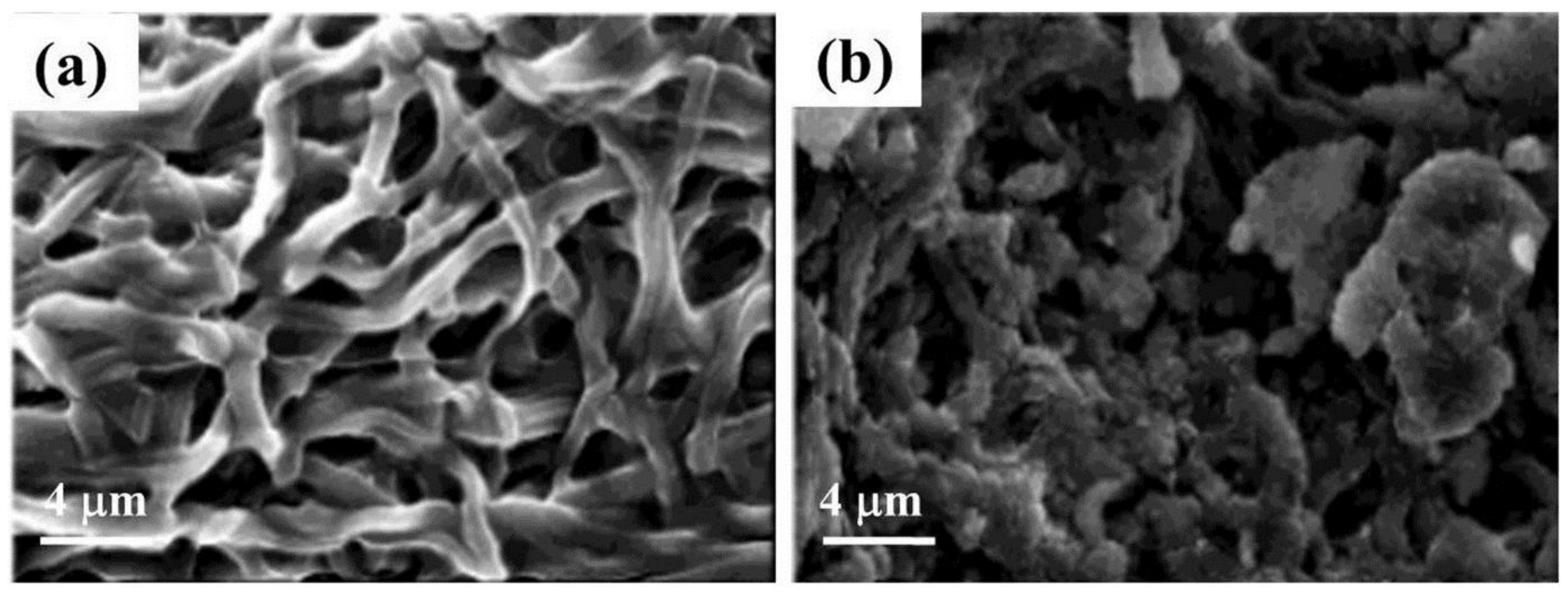 Fibers 06 00045 g007 Fibers 06 00045 g007