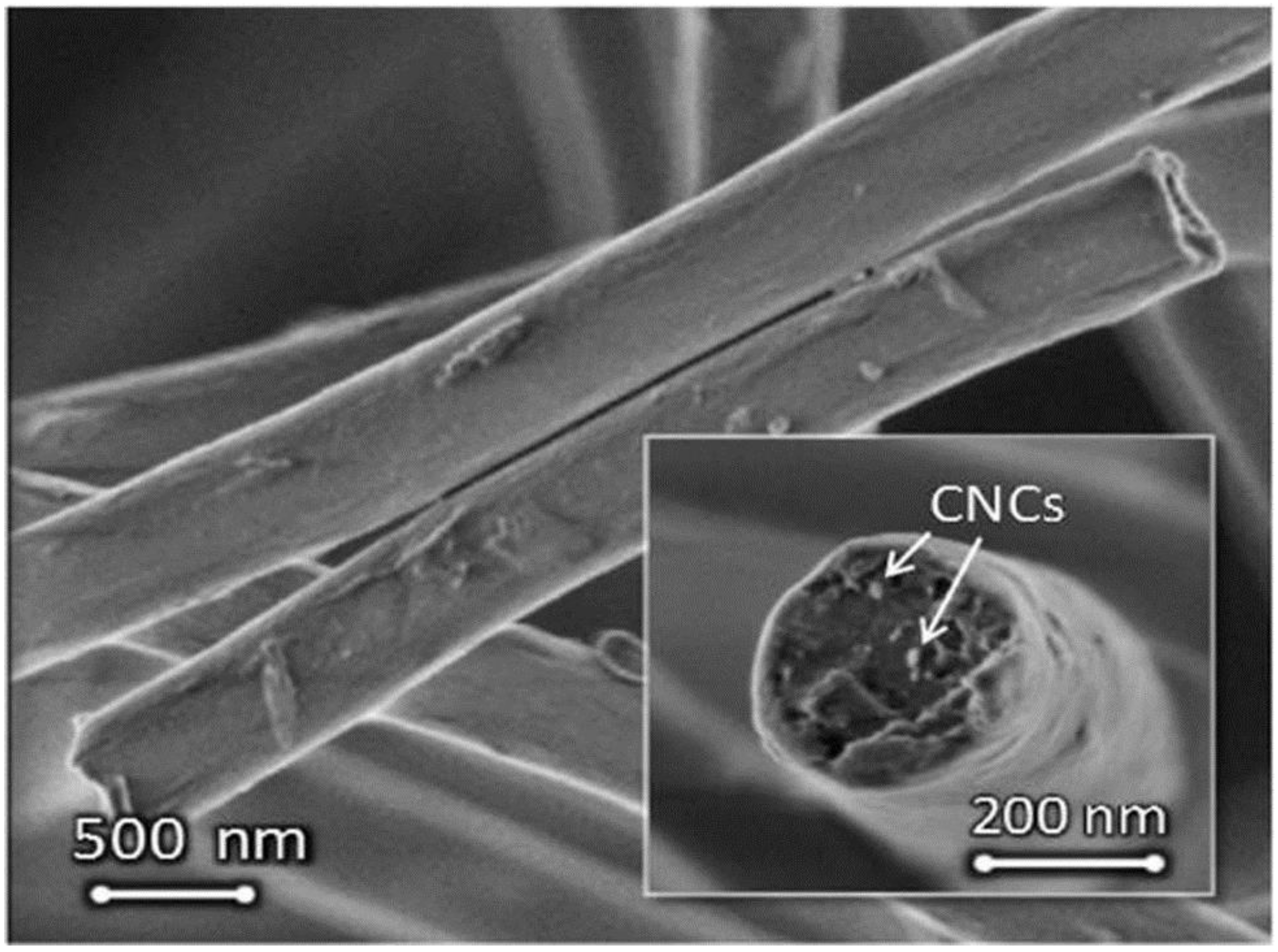 Fibers 06 00045 g013 Fibers 06 00045 g013