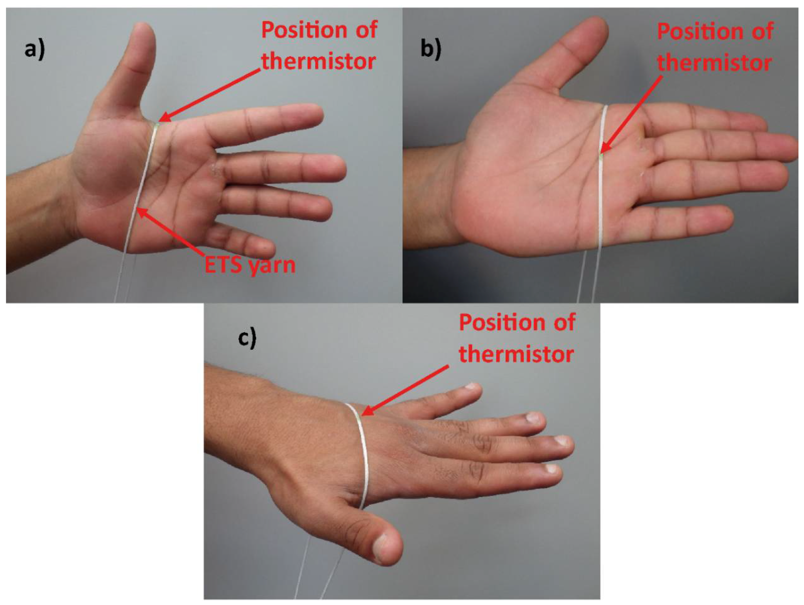 Fibers 06 00046 g003 550