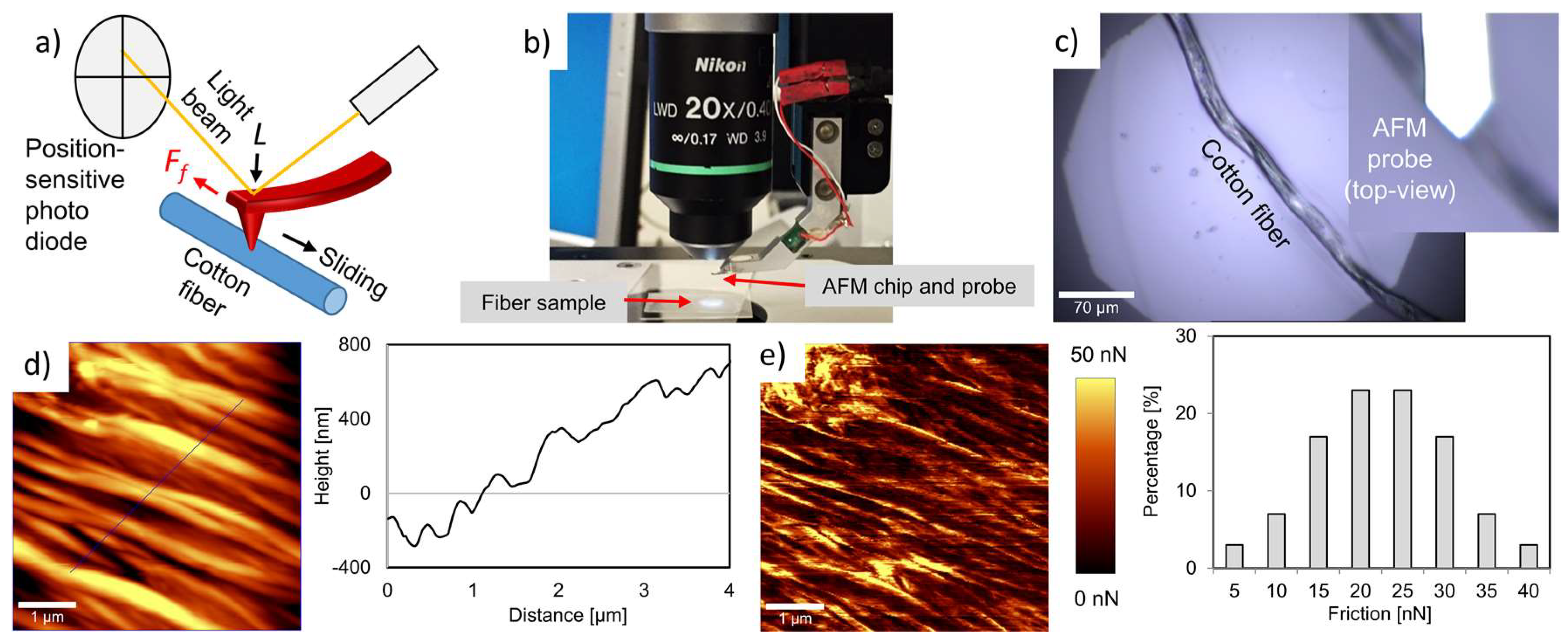 Fibers 06 00049 g005 Fibers 06 00049 g005