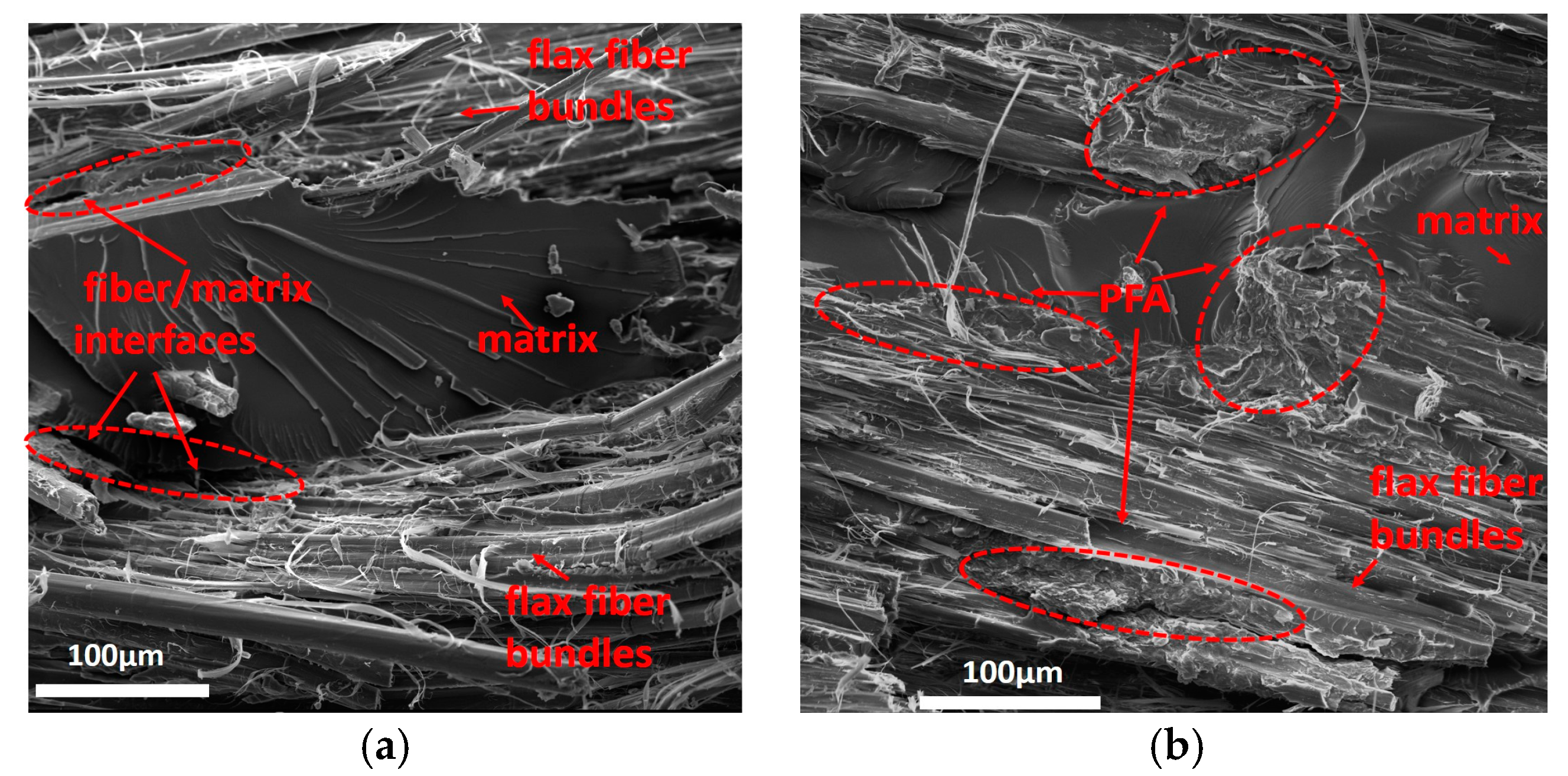 Fibers 06 00059 g006 Fibers 06 00059 g006