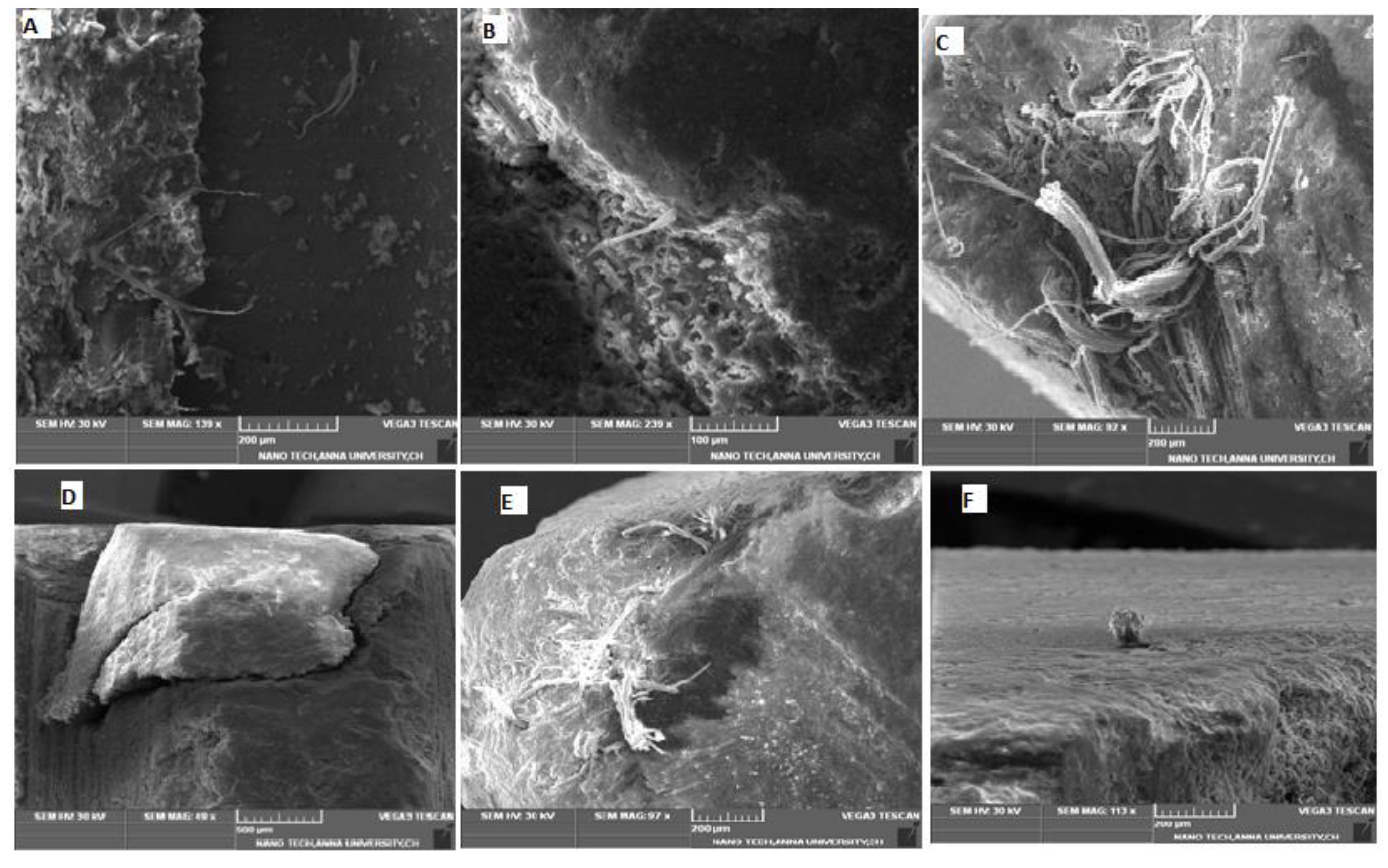 Fibers 06 00060 g008 Fibers 06 00060 g008