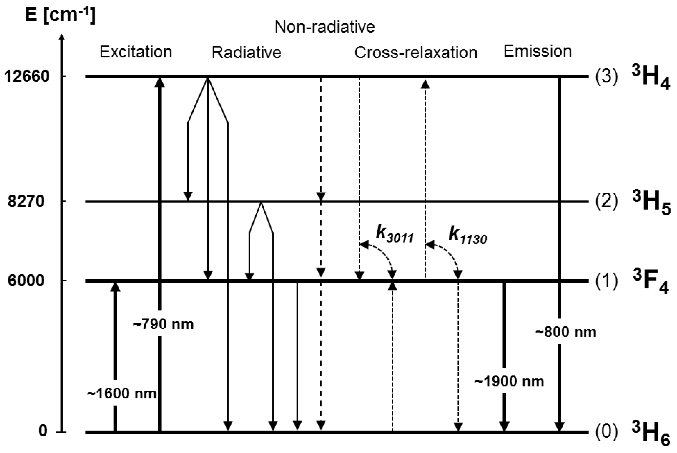 Fibers 06 00066 g003