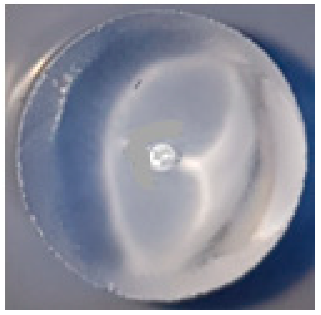 Fibers 06 00067 g005