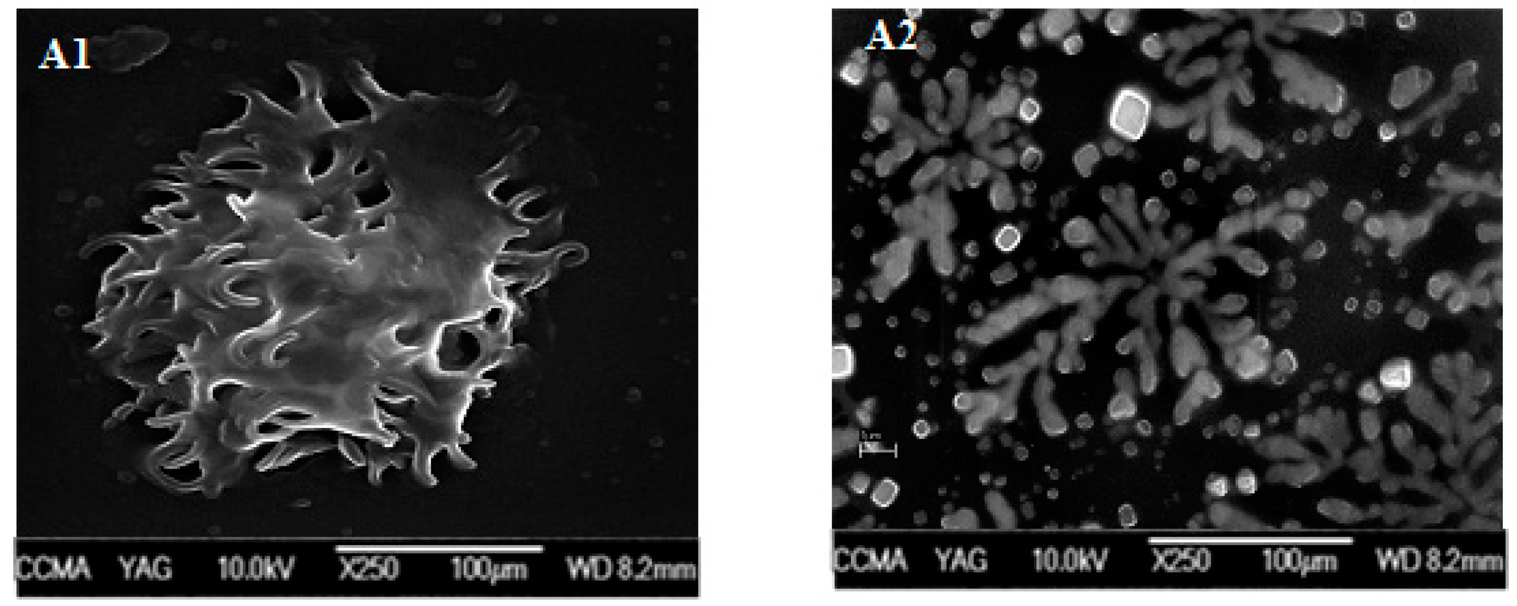 Fibers 06 00067 g010