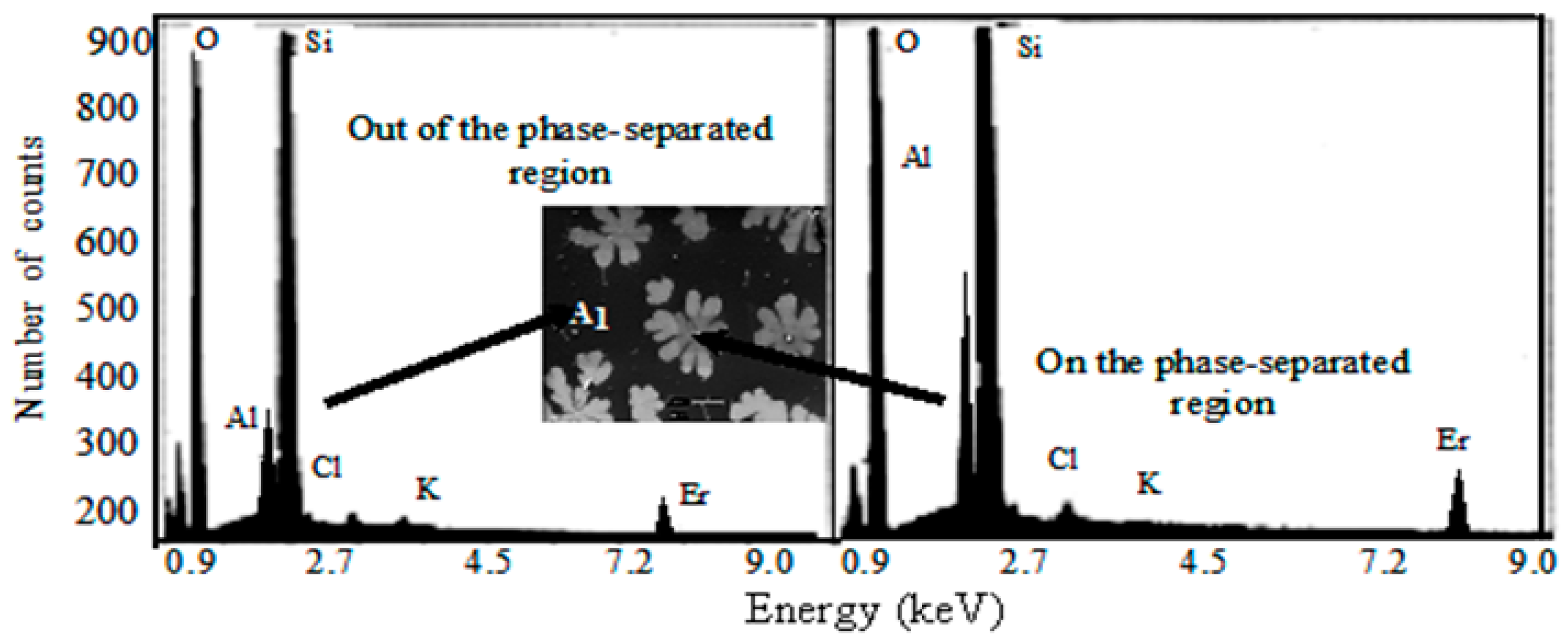 Fibers 06 00067 g015