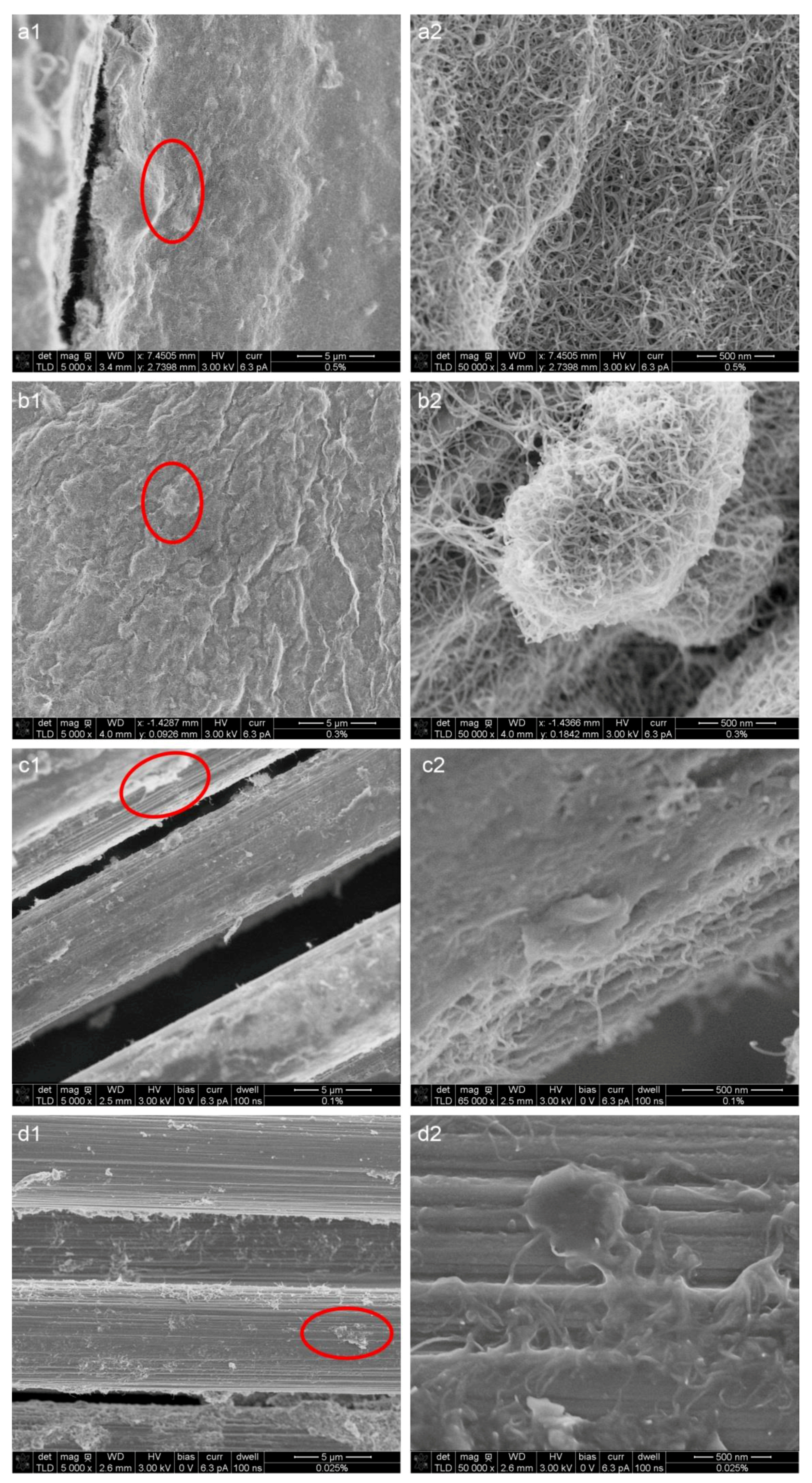 Fibers 06 00071 g001