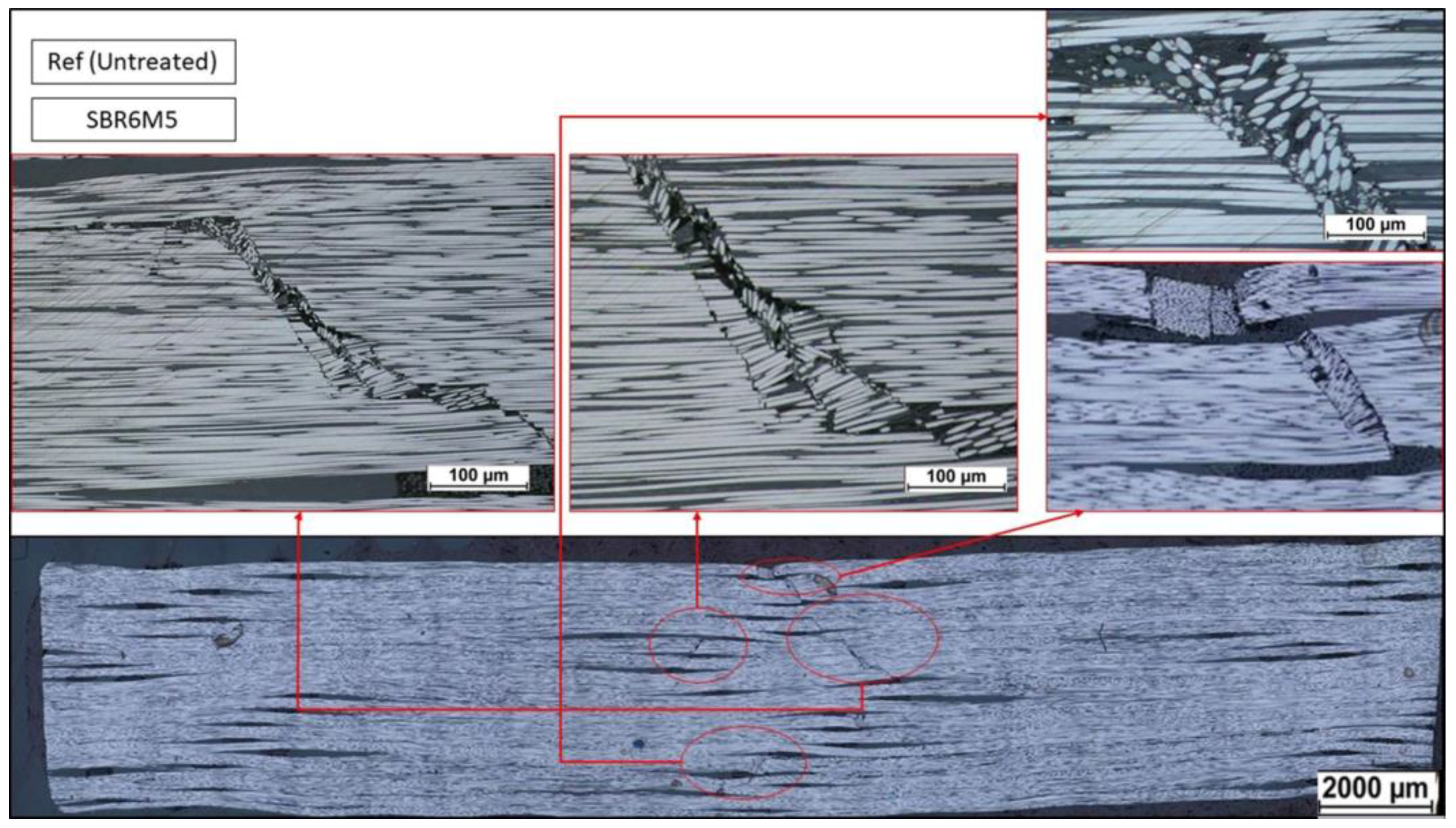 Fibers 06 00071 g004